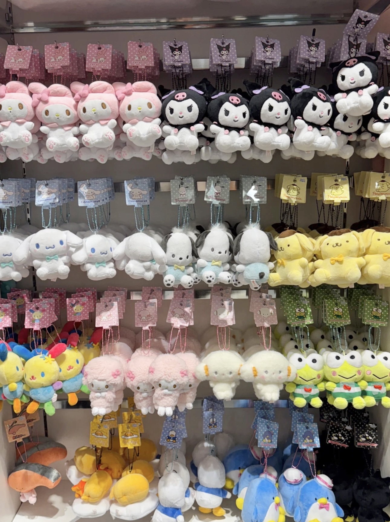 image_909D70AC-36AE-454F-B46A-91BCC2CBA06C_1756718079