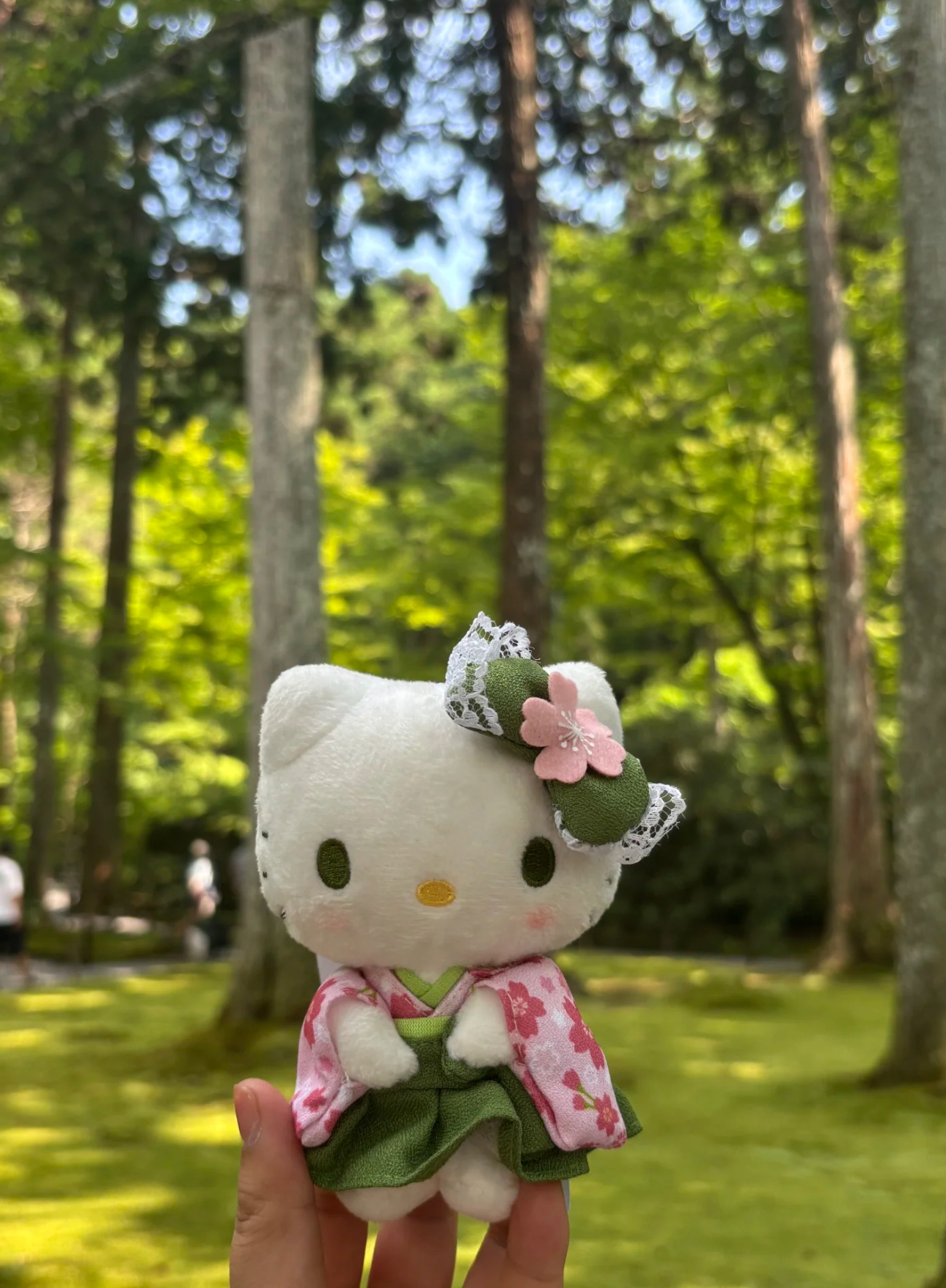 fuwa@shop⭐︎さま　専用 mofusand オープンパスケース(さめ わんぽいんと) | mofusand