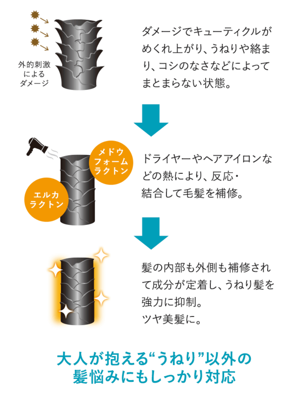 image_AF2081C9-5AD8-43ED-A62D-46354F47E0CD_1759317328
