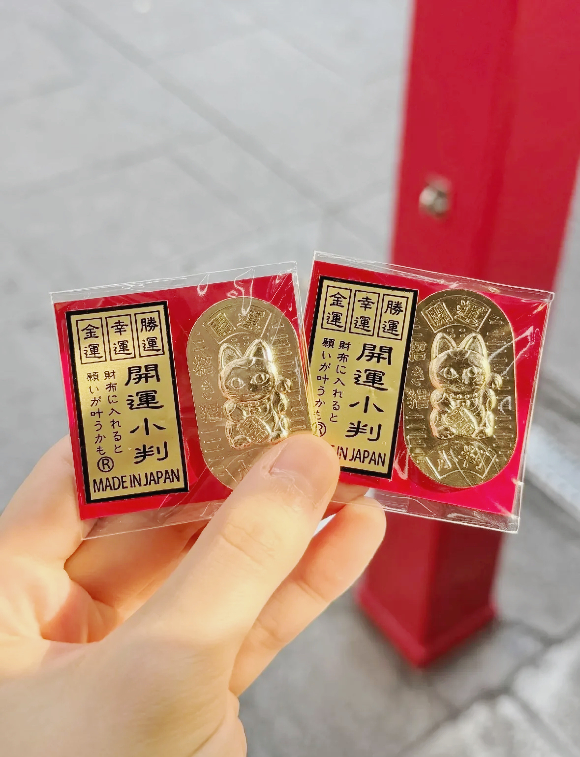 image_36C08D28-8784-493D-BDD0-1FF6F0F43F8D_1761281727