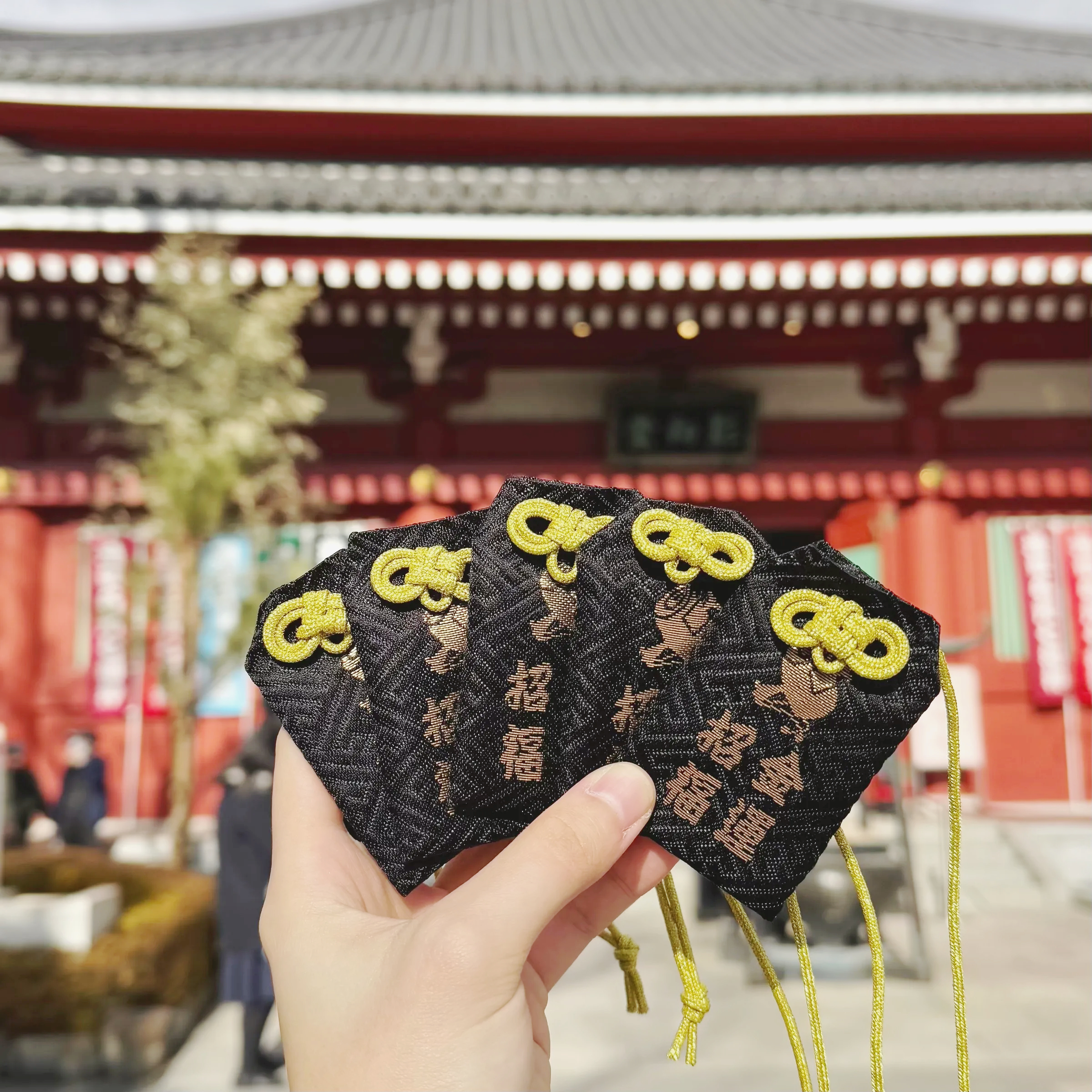 image_96A22D24-C984-4498-A8E8-22109083AC26_1761281792