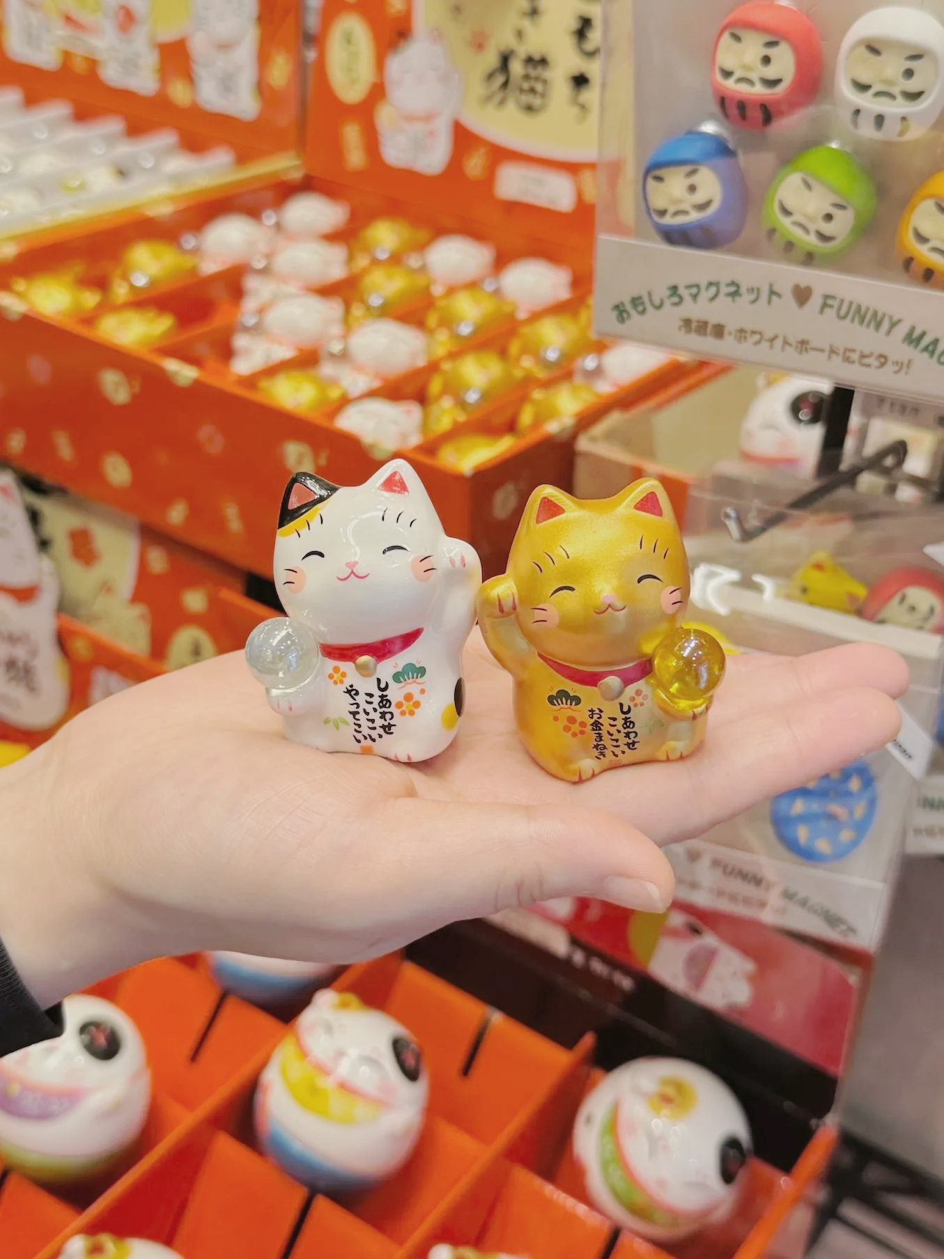 image_24428B83-EE22-4B59-B222-CD383E713213_1761281947