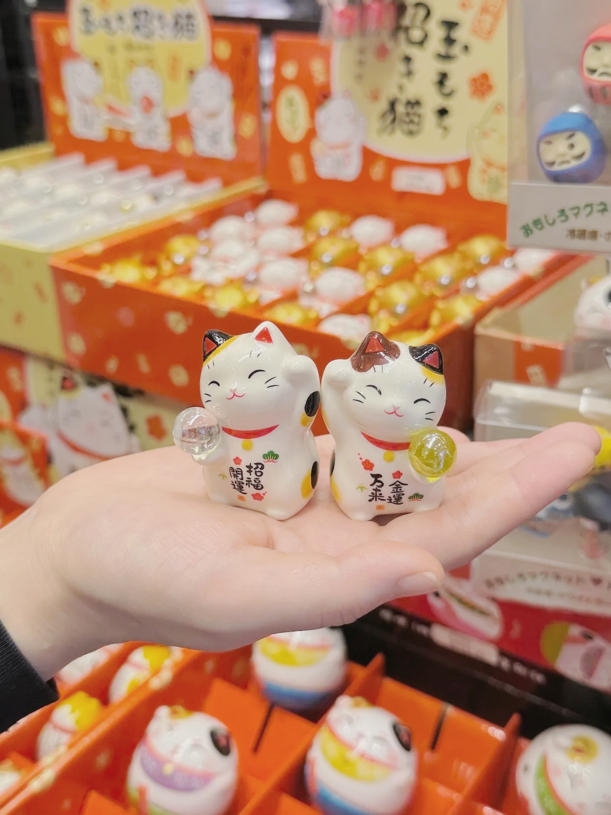 image_38885B67-1AB3-4908-ABEF-06214B0FEEB6_1761281947