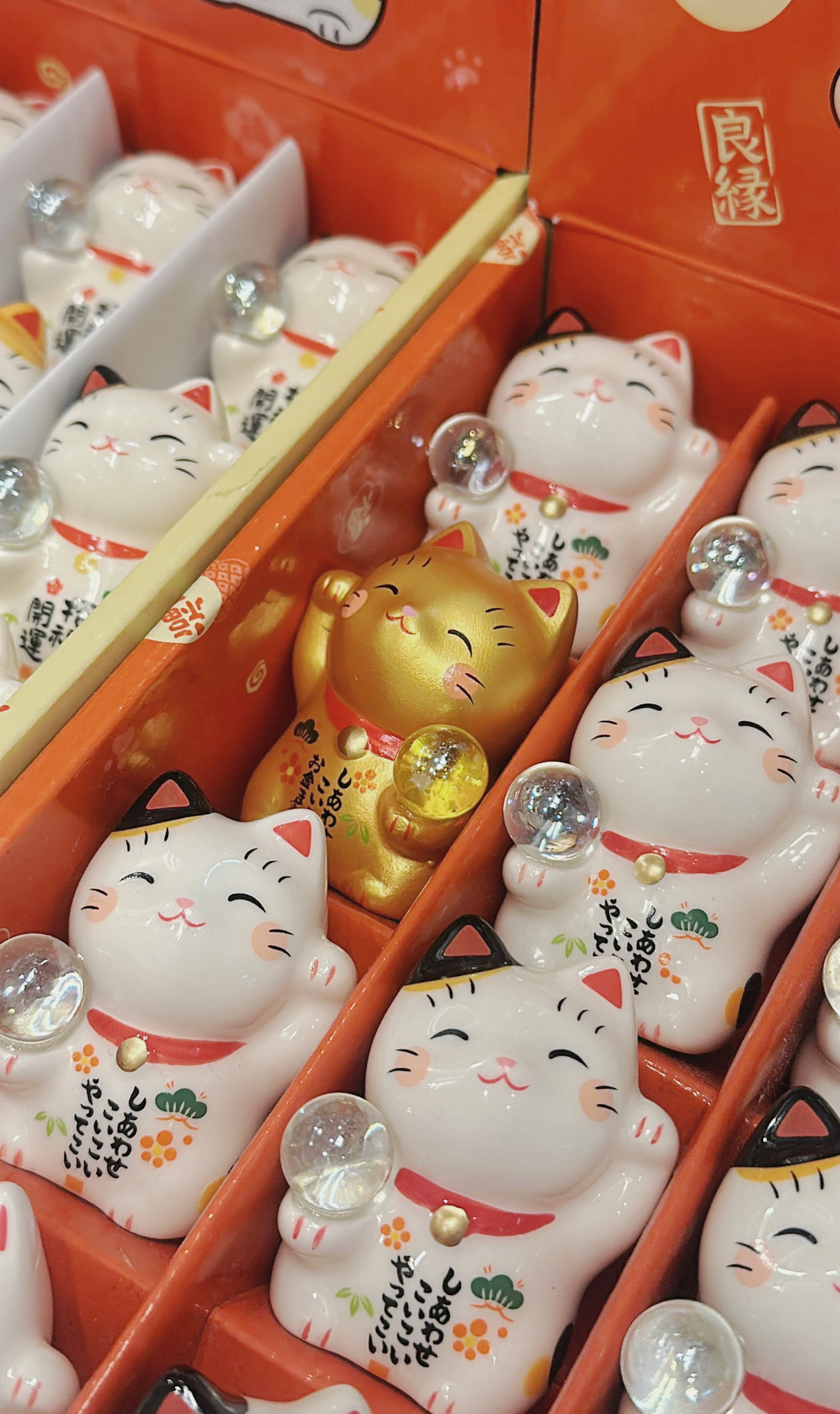 image_D8323758-A247-4FA8-8C39-6E50F1F922A8_1761281947