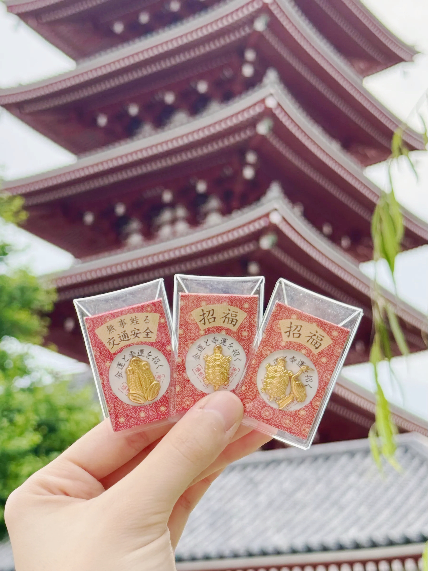 image_0F2FA1BC-72BD-4FE1-9B8B-E9D224DFCC89_1761285812