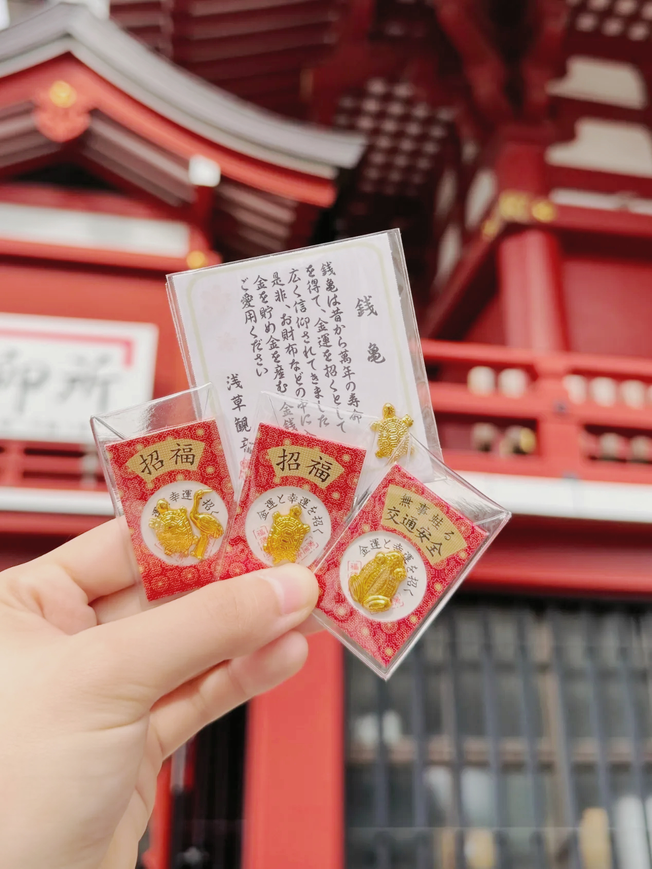 image_FF489815-BFAF-49B2-9030-FE387C70C037_1761285812