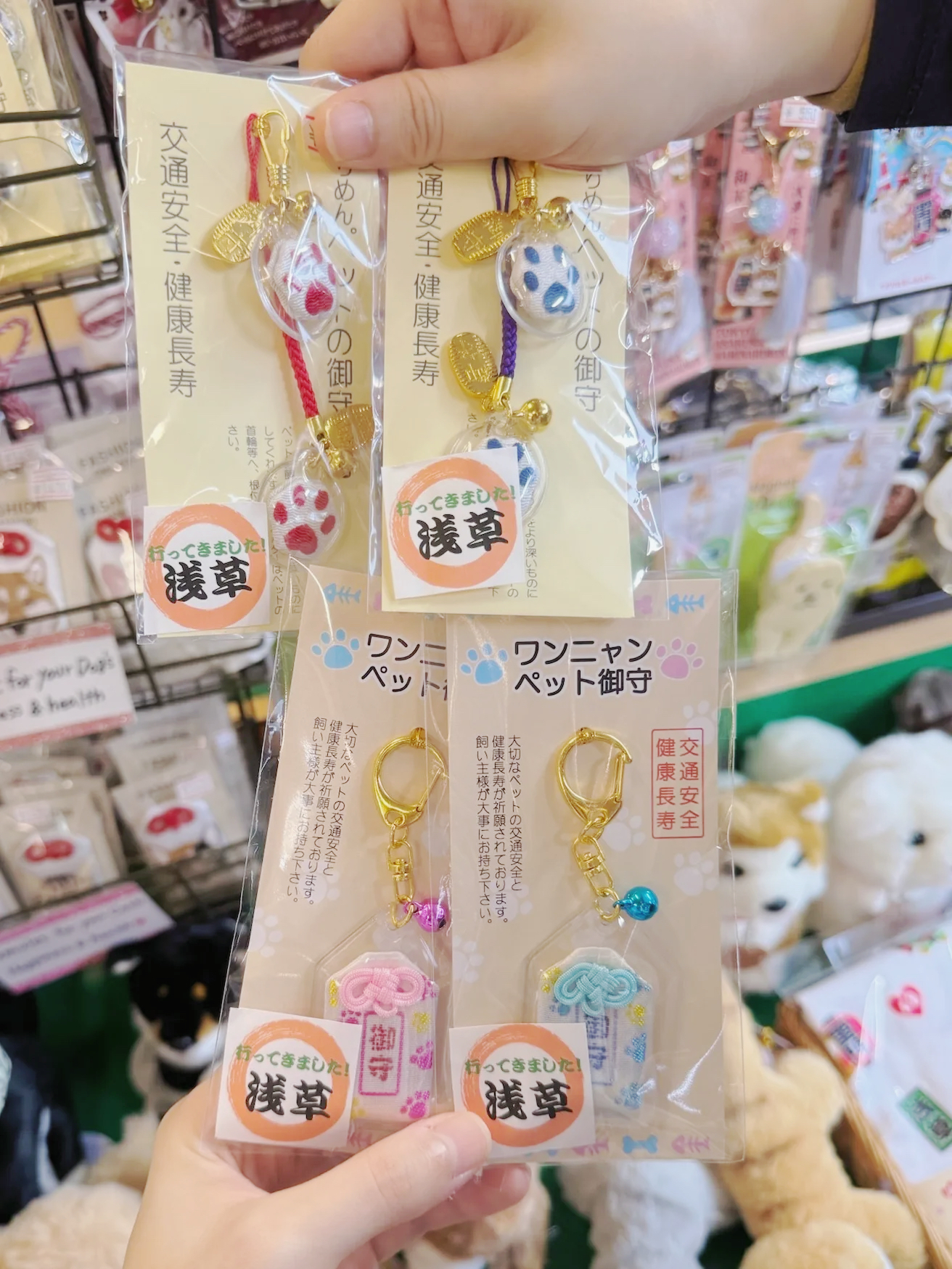 image_6A57A062-DE9B-4263-8099-8337EABF11A2_1761285890