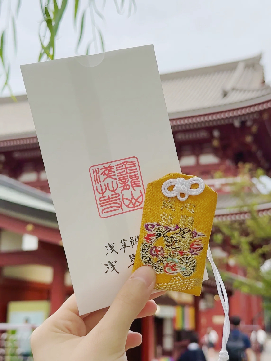 image_88688727-65C9-4D44-97FE-122727DEEE64_1761285924