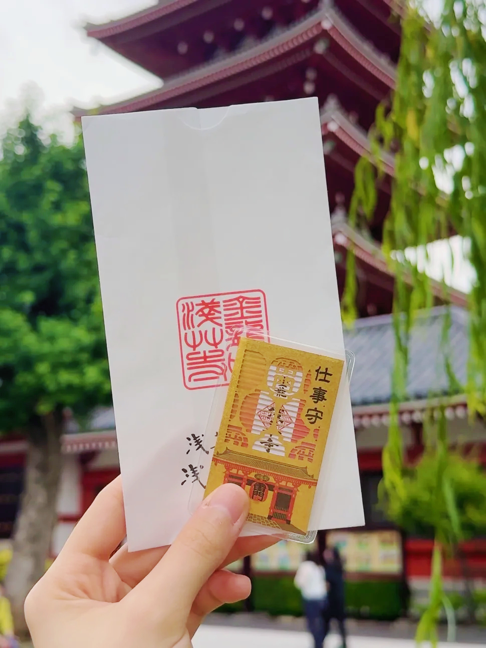 image_C0D2273A-D837-47A2-AB26-9A5C895D9AD3_1761291277