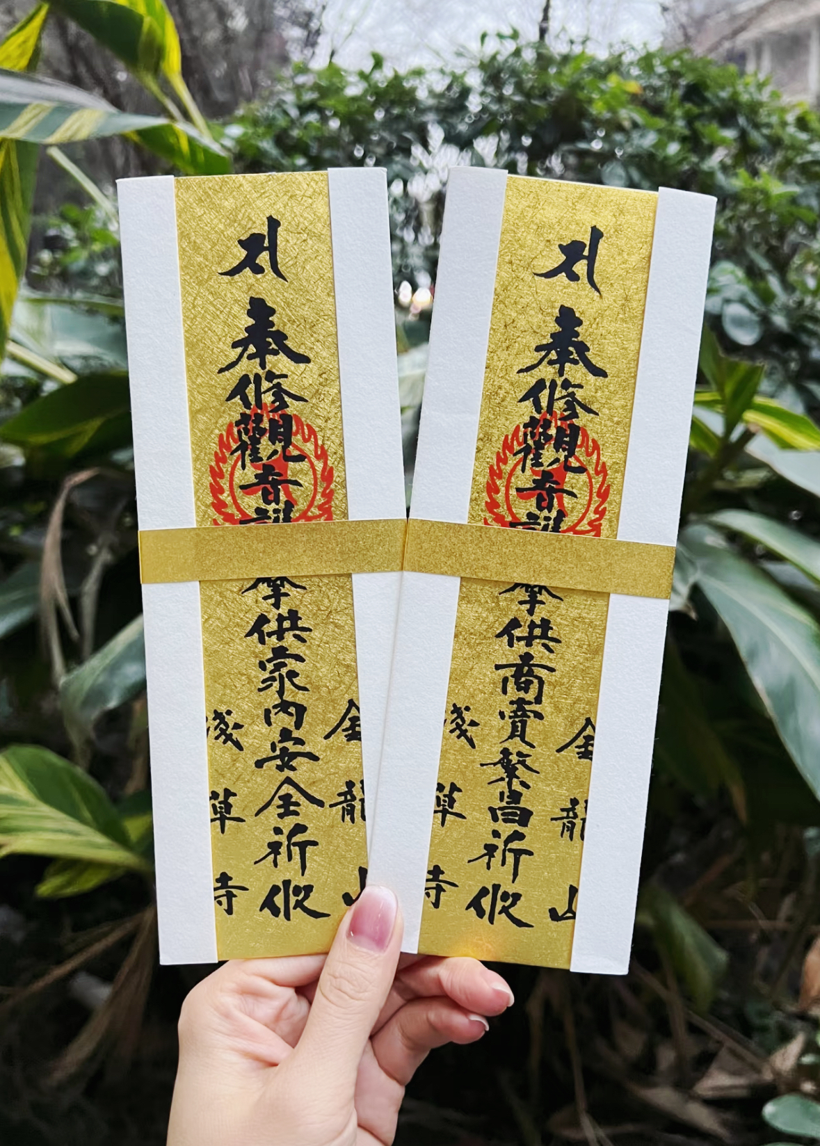 image_9731536F-169F-48A4-8DF5-EE6874BE3737_1761291615