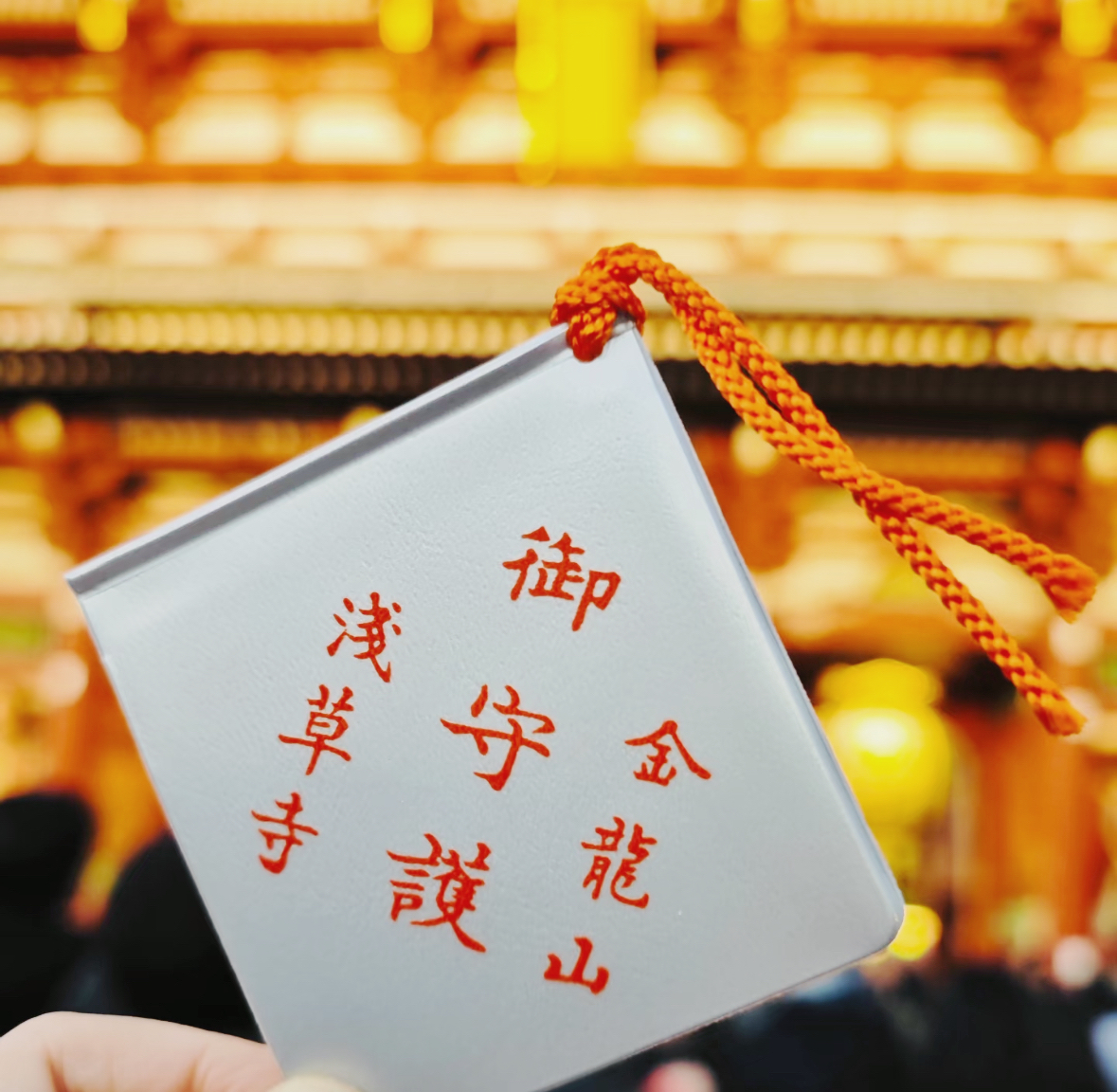 image_BEACA82D-C1CF-4335-AA47-7EAB9E73B101_1761291661