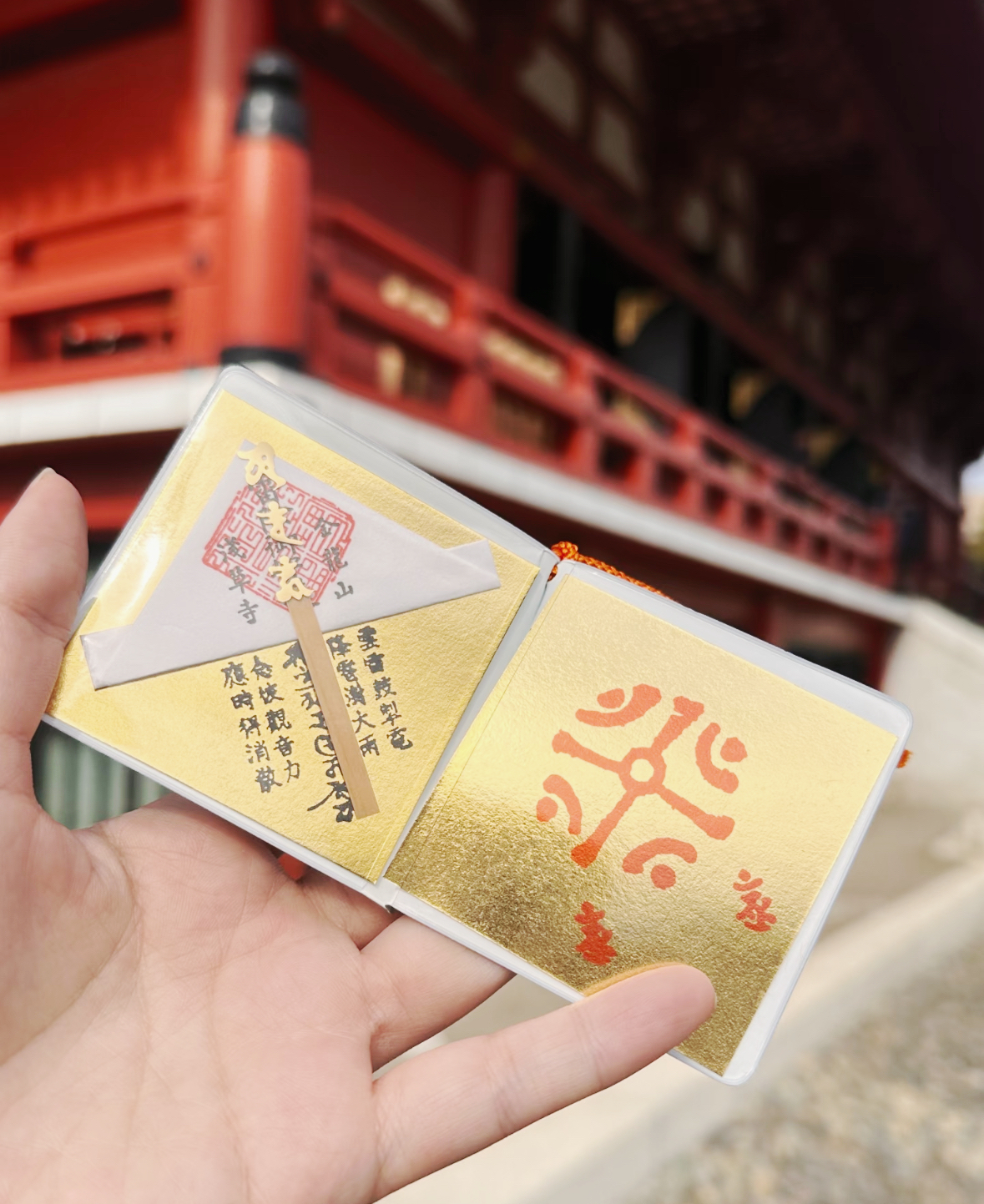 image_16A3F700-2EED-478E-929E-C53F6E869DE6_1761291661