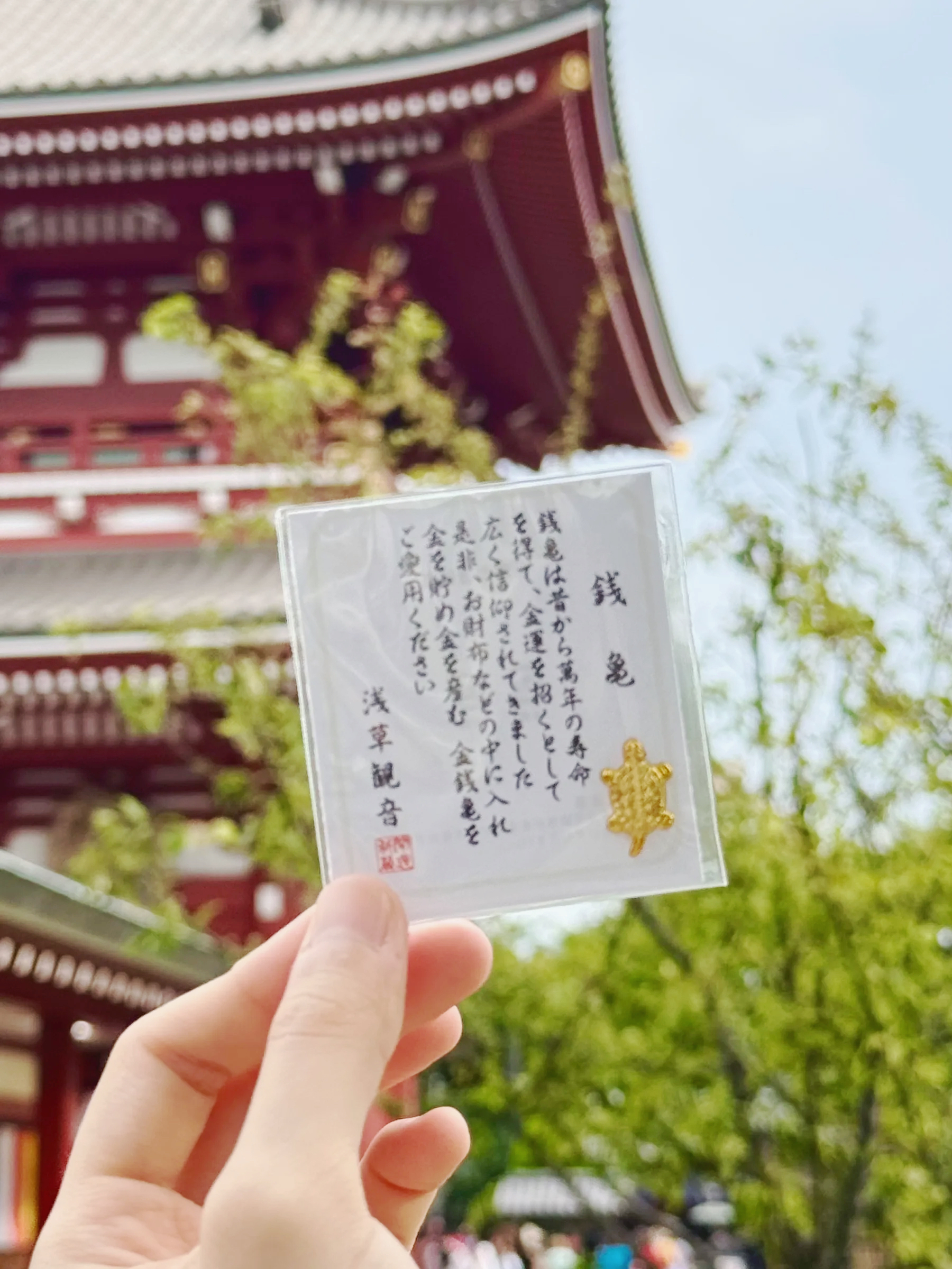 image_CDA57273-6319-44AF-B684-FE97AA4566E0_1761291929