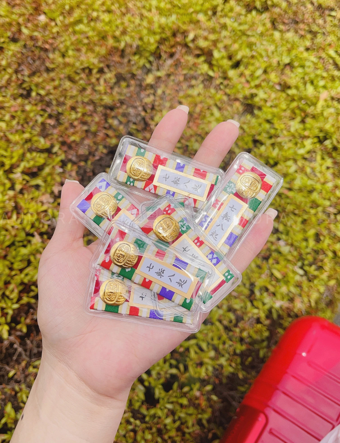 image_E05E7818-0AA6-4797-AB2E-C6E4697C70B9_1761292144