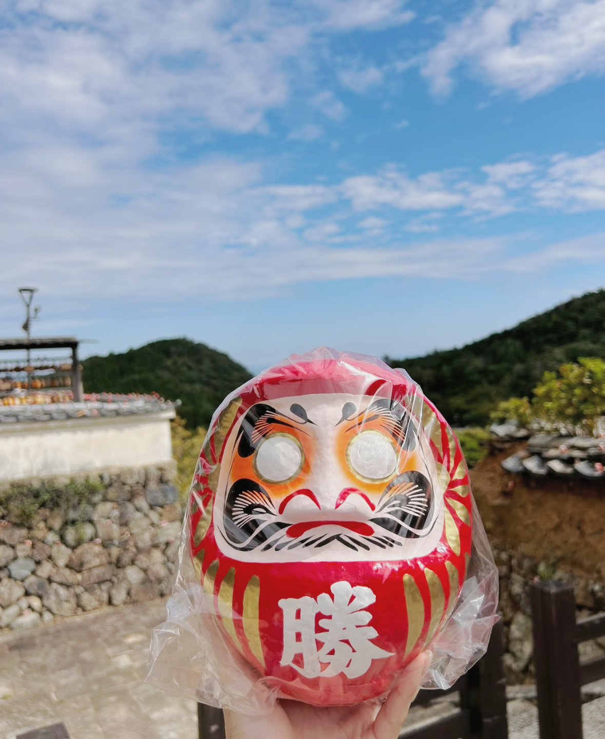 image_5325A963-0876-4533-BDA8-A2C8A2004995_1761292277