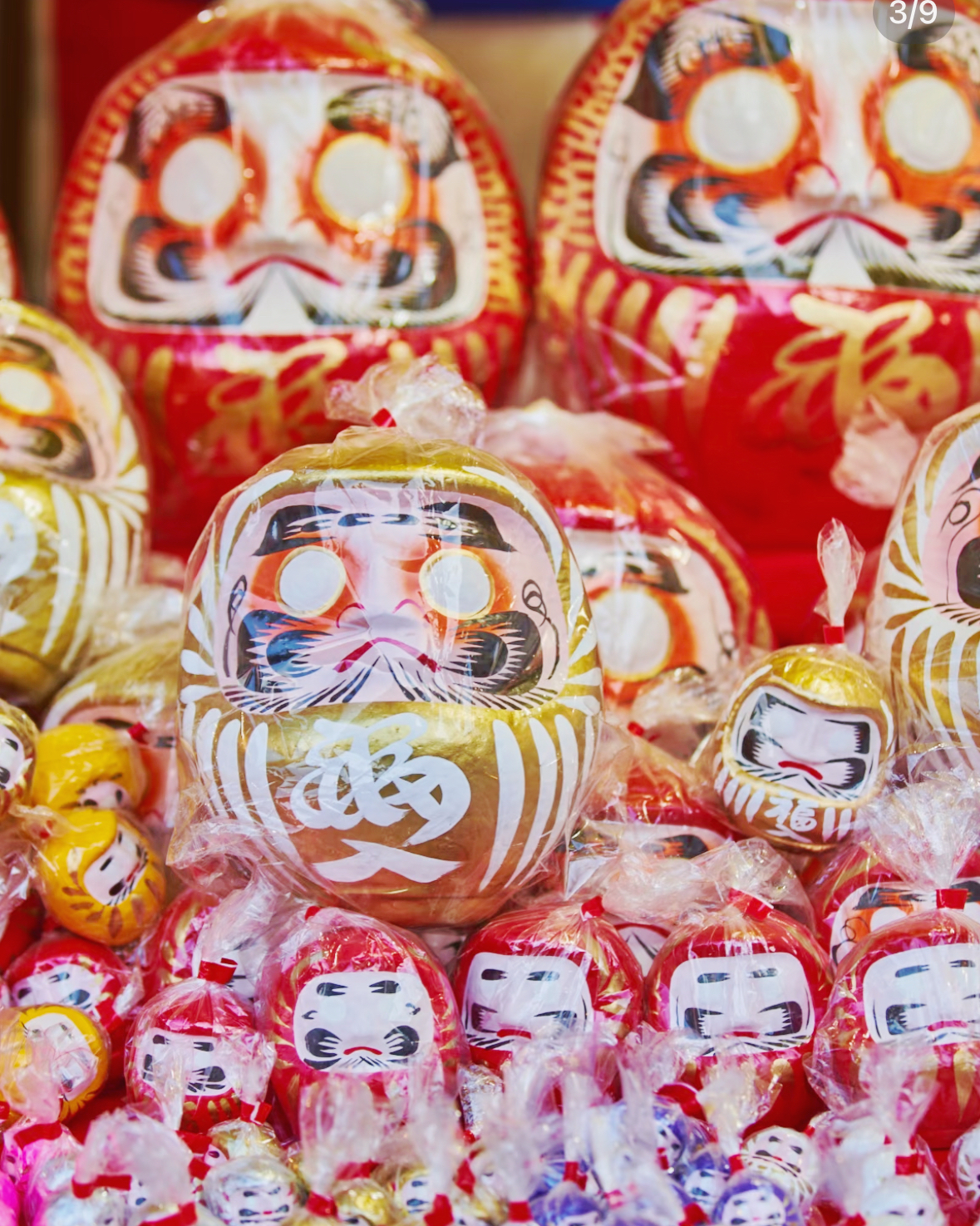 image_9C8CC230-7826-4D23-9479-D164F1E9A34B_1761292277