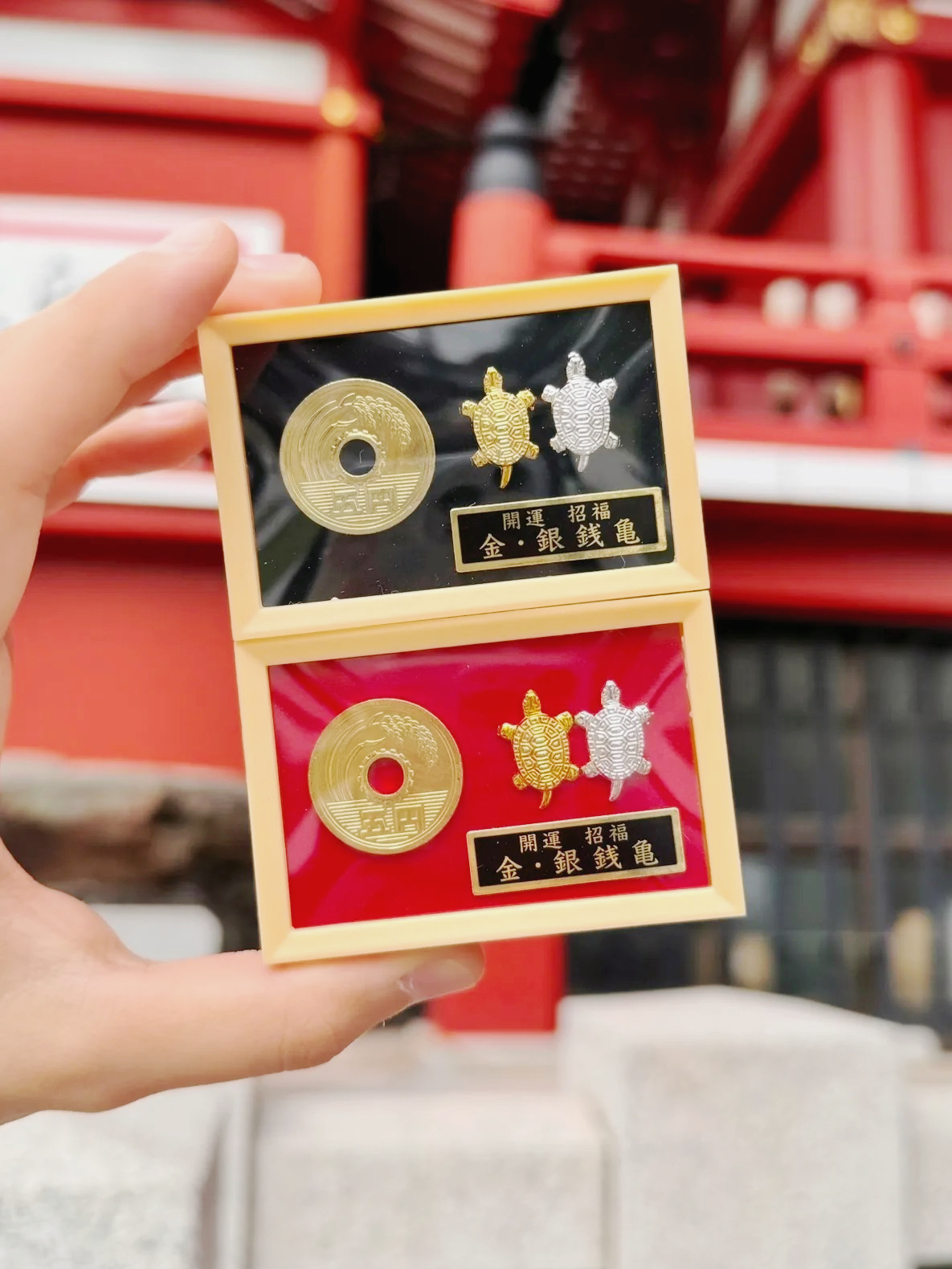 image_CA5505E3-4B95-4985-91E7-D04BF695DE6C_1761292609