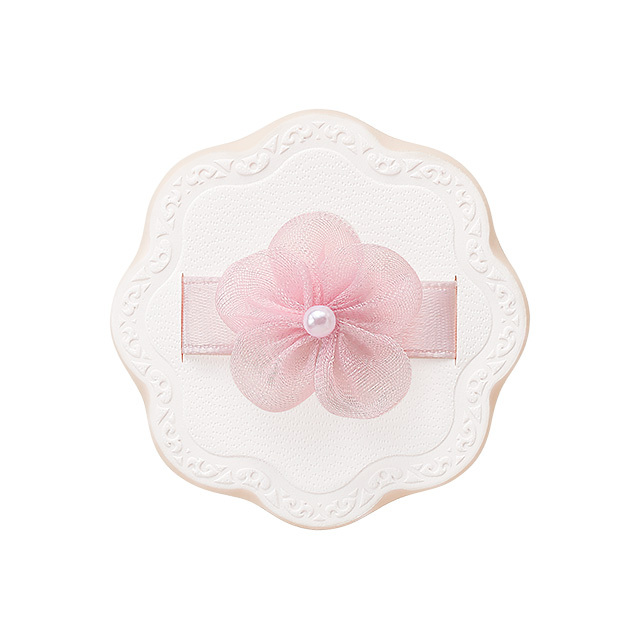 SIRD_2295bc84a053427c916f9256ca964db5