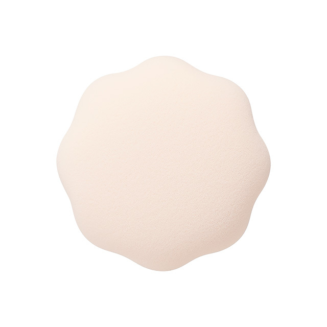 SIRD_bcd5532102764976aff2dc75b7422a5e