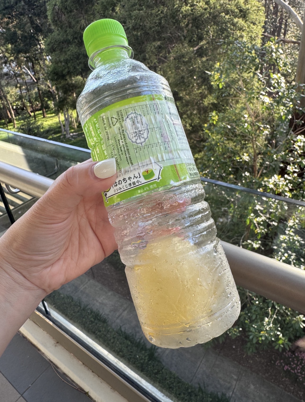 image_4F87DD06-A0AD-492C-B9B1-210A8CB7ADB6_1762061643