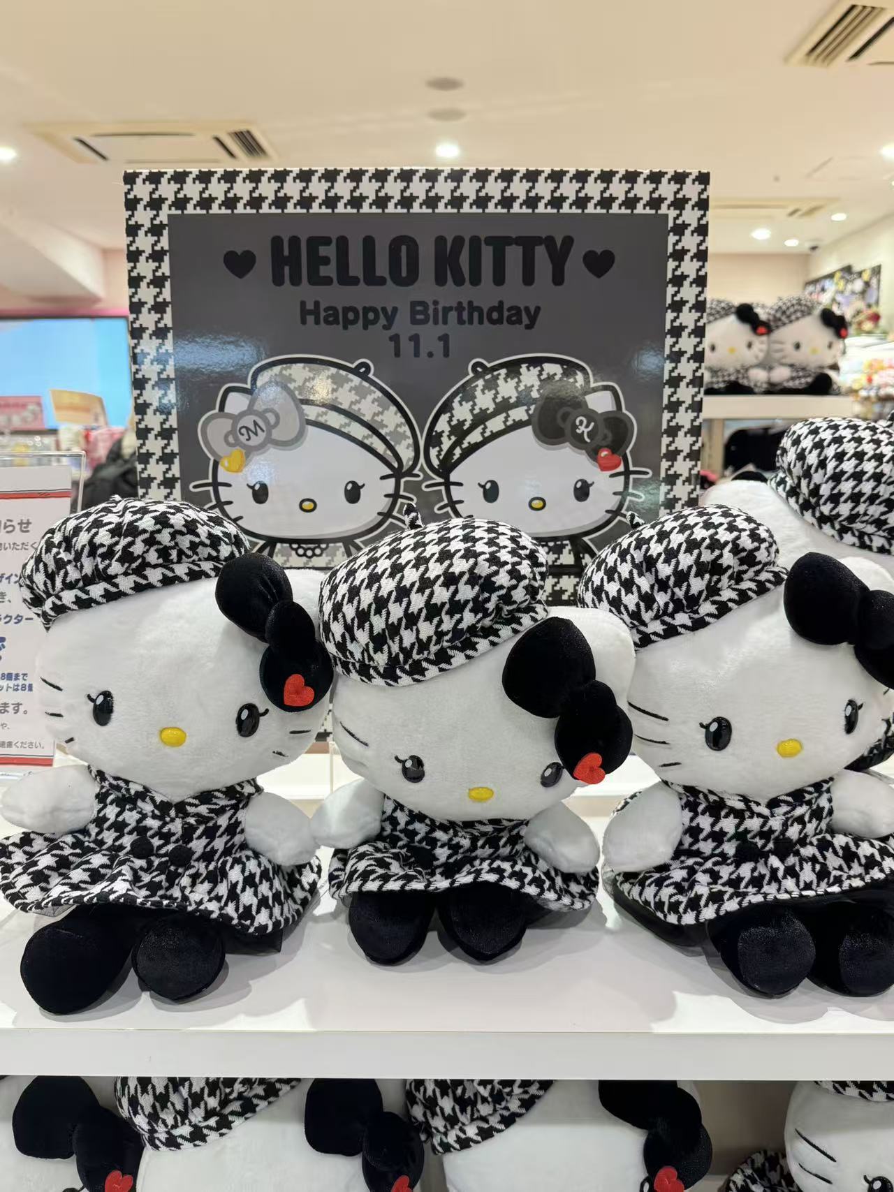 image_9F6685AE-67AB-4C58-8F3C-BB81820DFCDB_1762399453