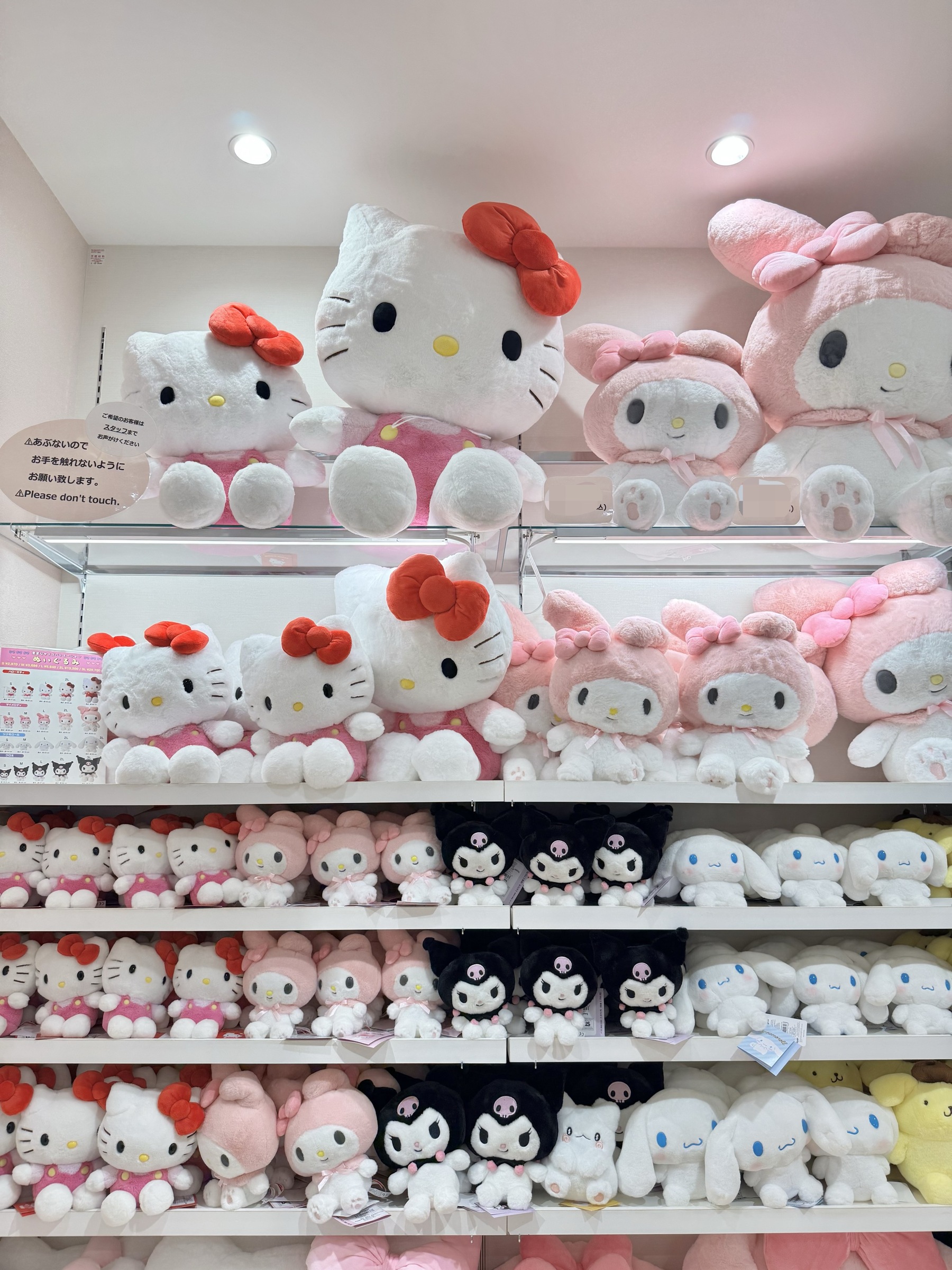 image_835EB02F-4C32-4DCC-9CC4-682F3B364D79_1762406086