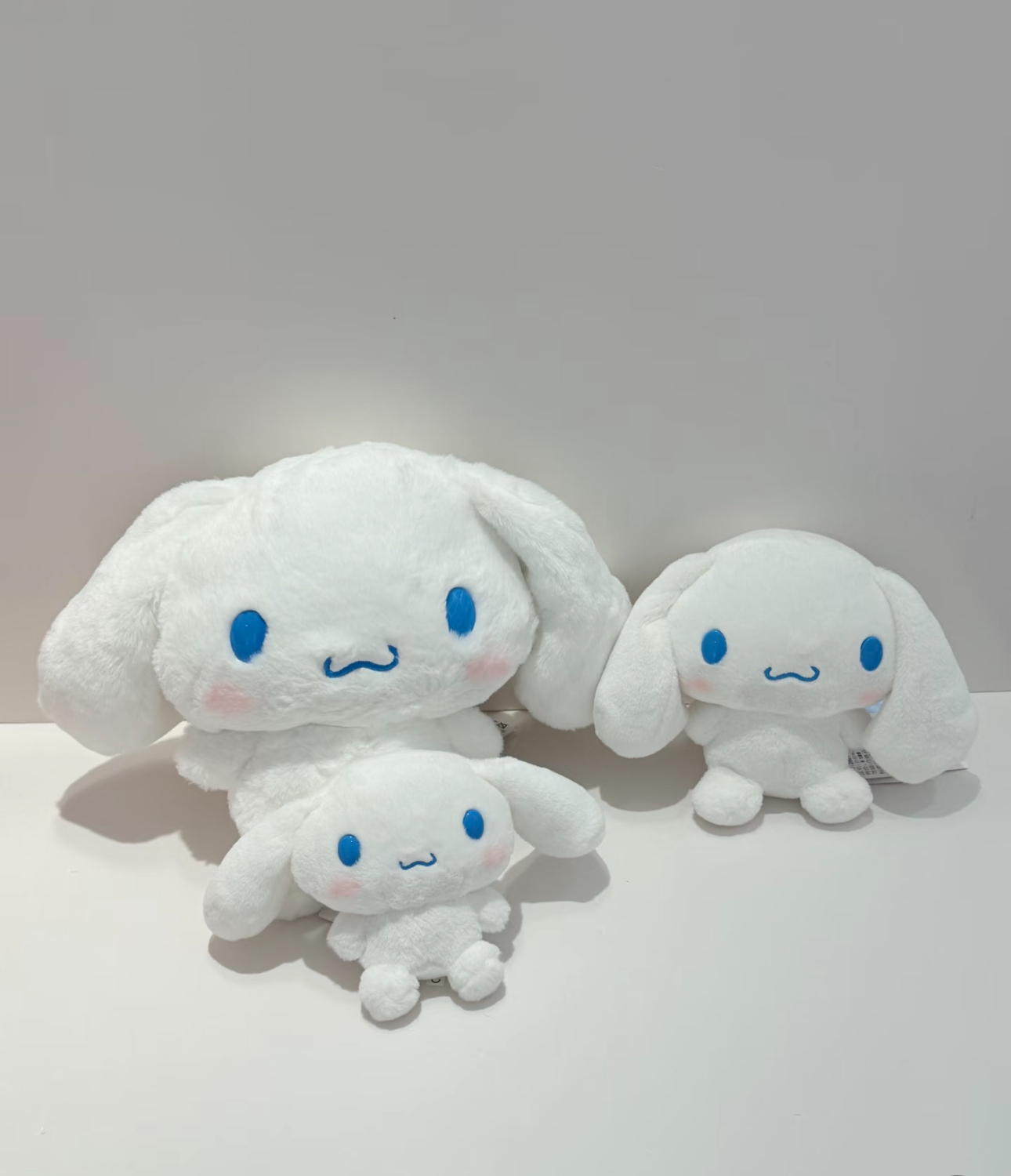 image_0CBA0818-DF75-4E98-823E-F9B2E49D7236_1762406086