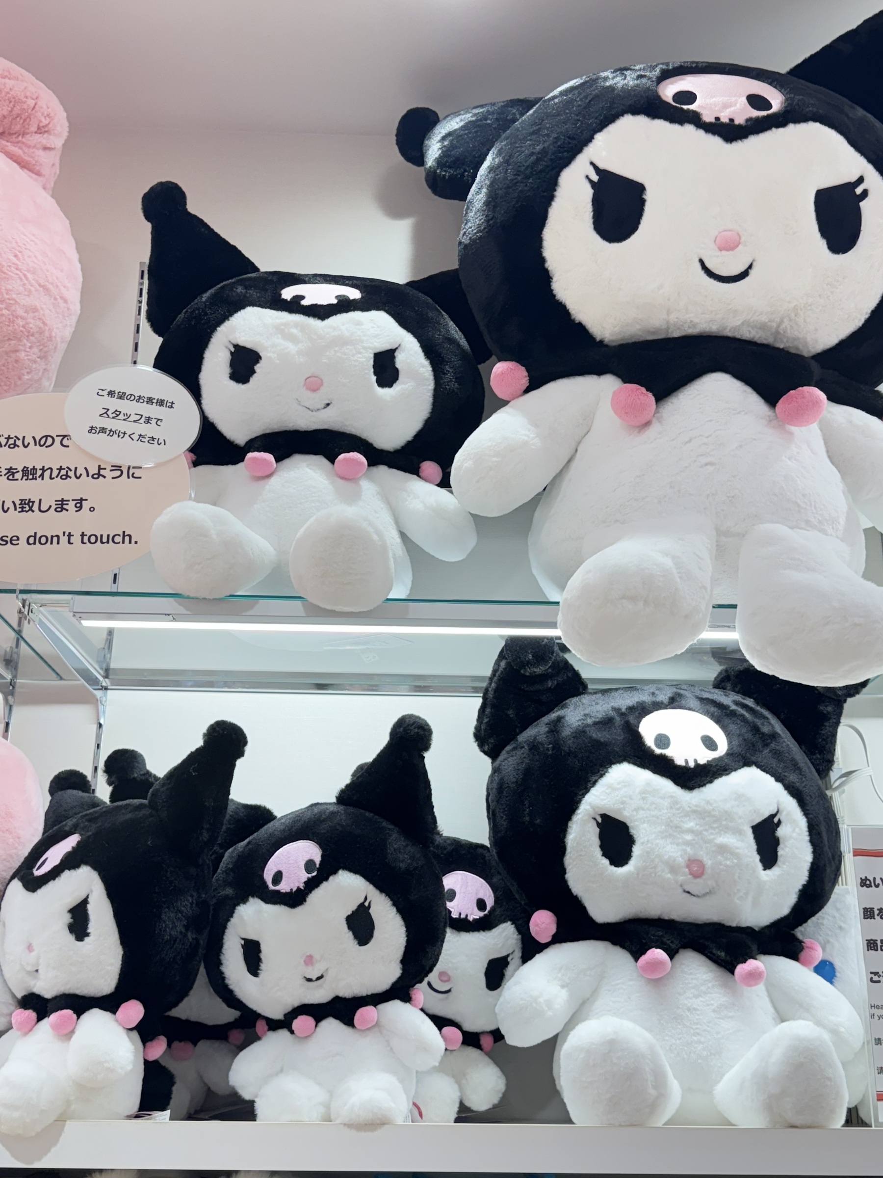 image_00C61EF7-798D-44E0-8F44-7864B7EE55BF_1762406086