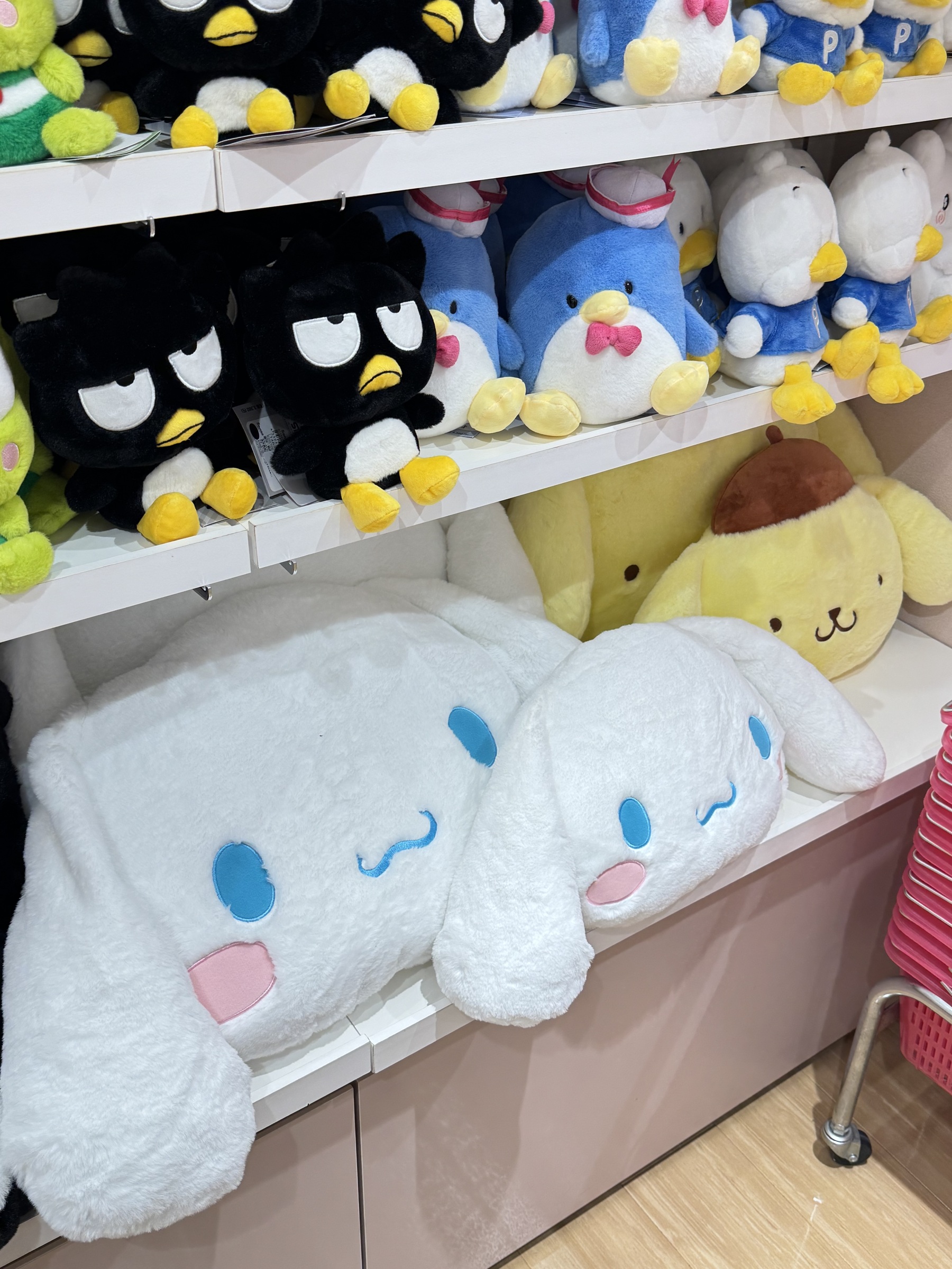 image_EEF1C383-8E39-4EFC-93CB-44C231FB938E_1762406545