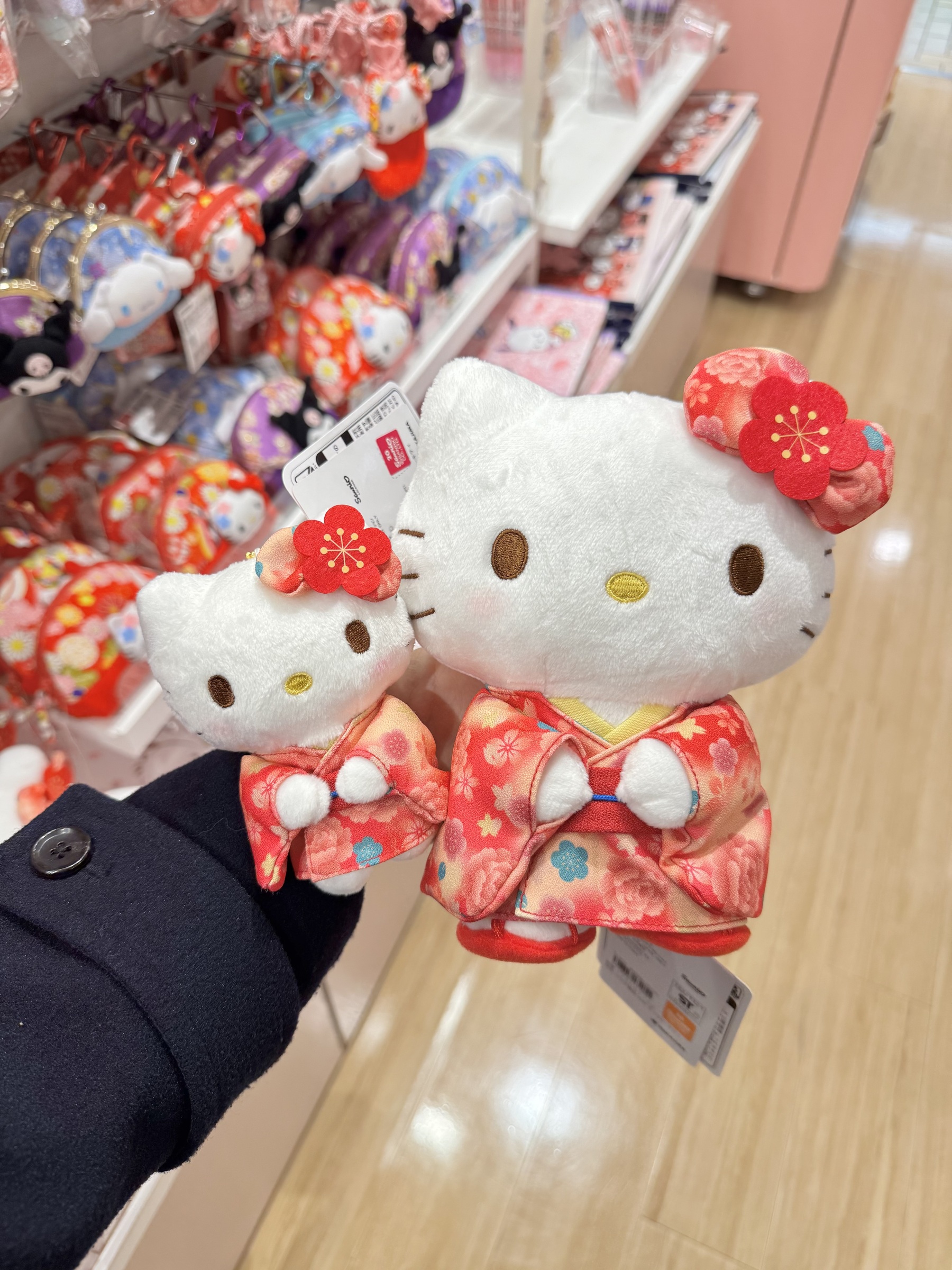 image_8F1A86AD-C786-44EB-A0A1-8CDAB676F83F_1762408101