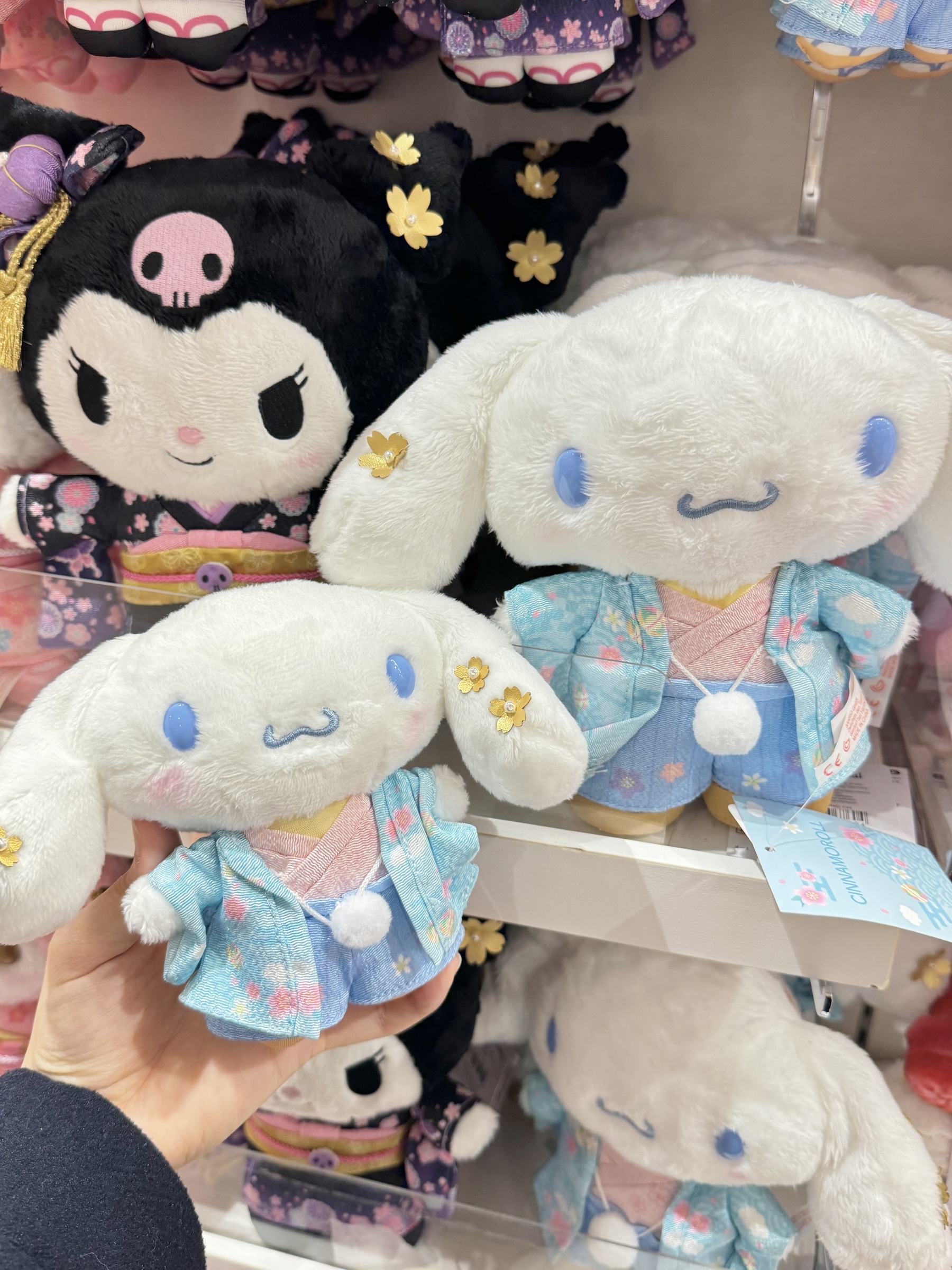 image_9995C10F-C33D-4DA1-8EE4-1D201081A855_1762408322