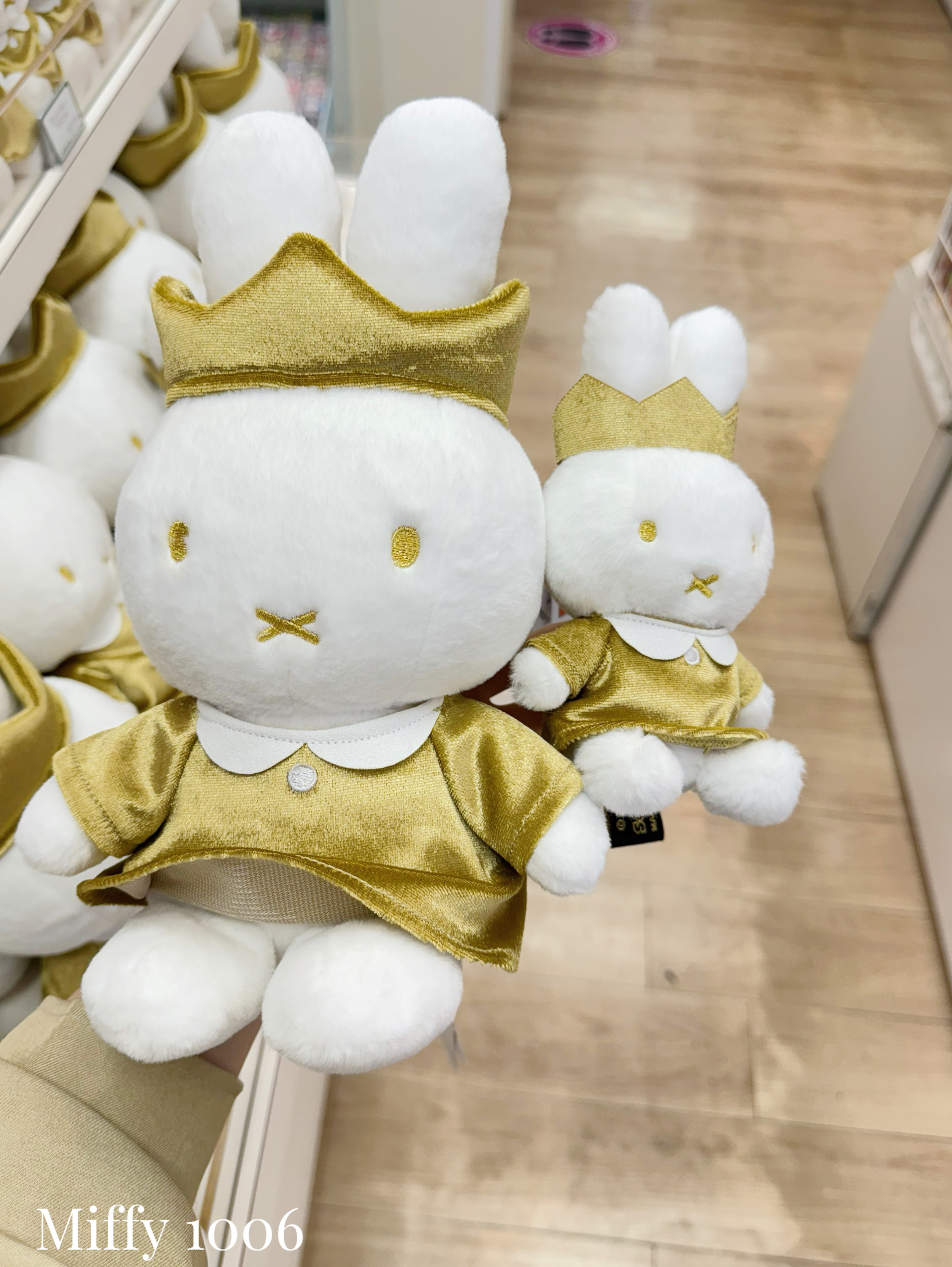 image_65146F41-F31B-41EF-8872-C4E7A3F8D49E_1762963837