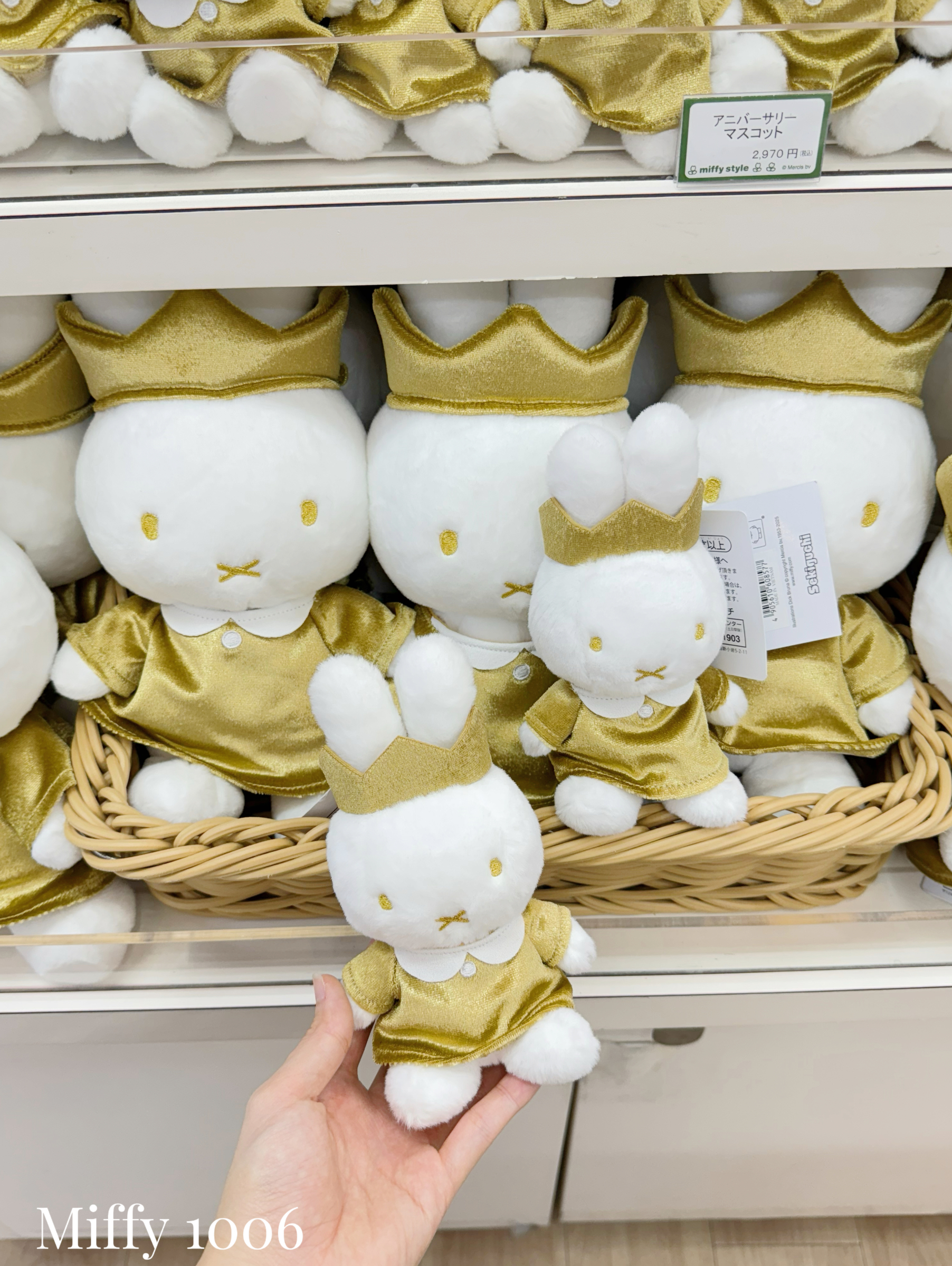 image_15BE37E0-01FE-4798-A2C1-FFA6D099A58F_1762963837