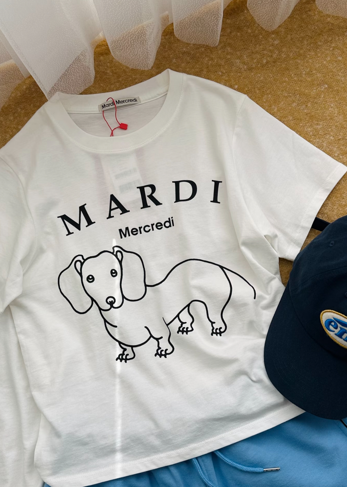 image_6C2C4D39-7F54-4725-9C13-3AFF3DFB86F1_1764056038