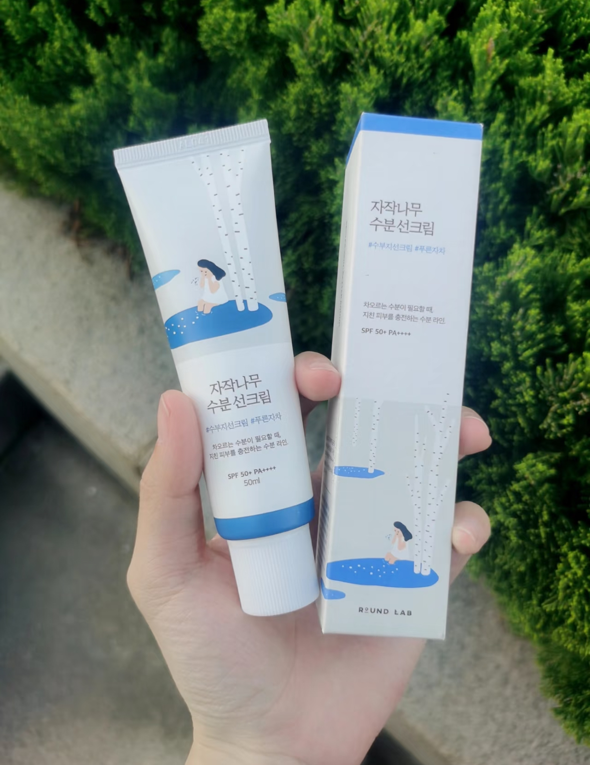 image_B60BD546-D767-4CC3-A4CA-721DDE464A4C_1764090815