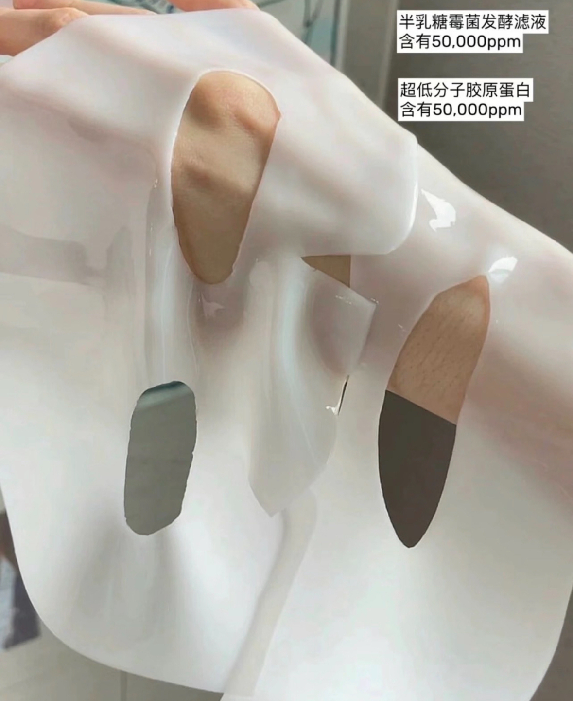 image_529B2882-C98B-41A2-8501-BD82CCC7311B_1764131954