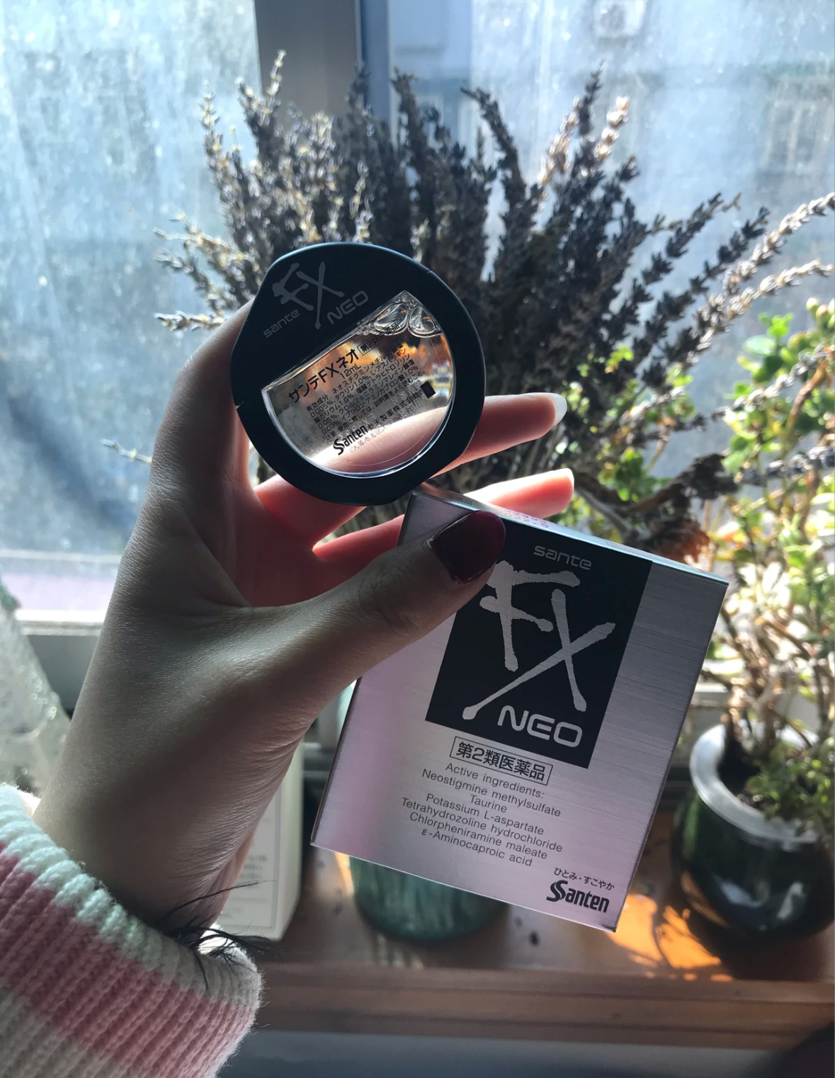 image_3236869F-4B69-45B6-8836-178C2D9418FC_1766030977