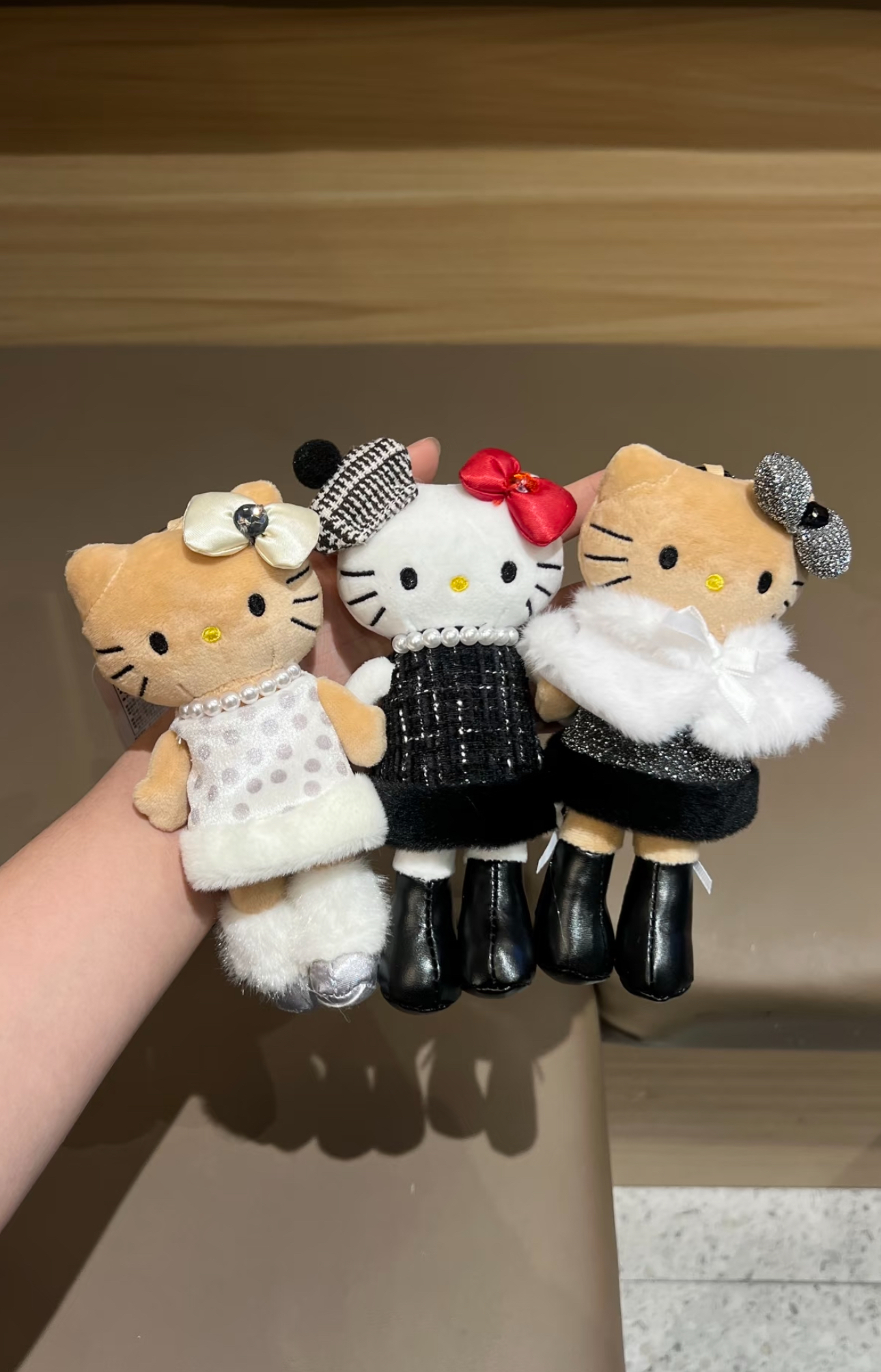 image_B5C922FE-F7AD-4F8C-B349-E1F071944022_1766038972