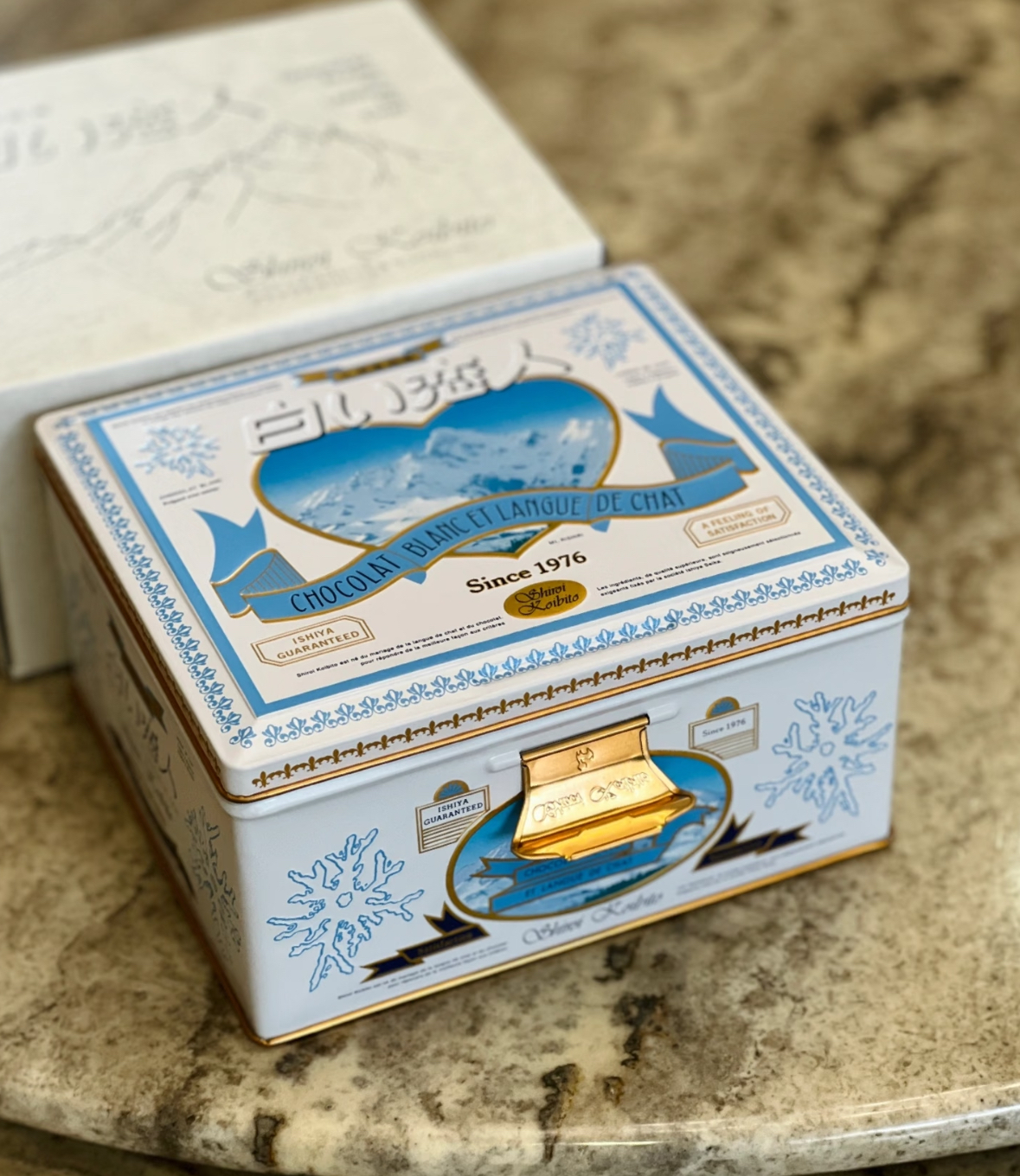 image_6E52C809-D04F-440C-9D84-515F8E66DEC8_1766058163