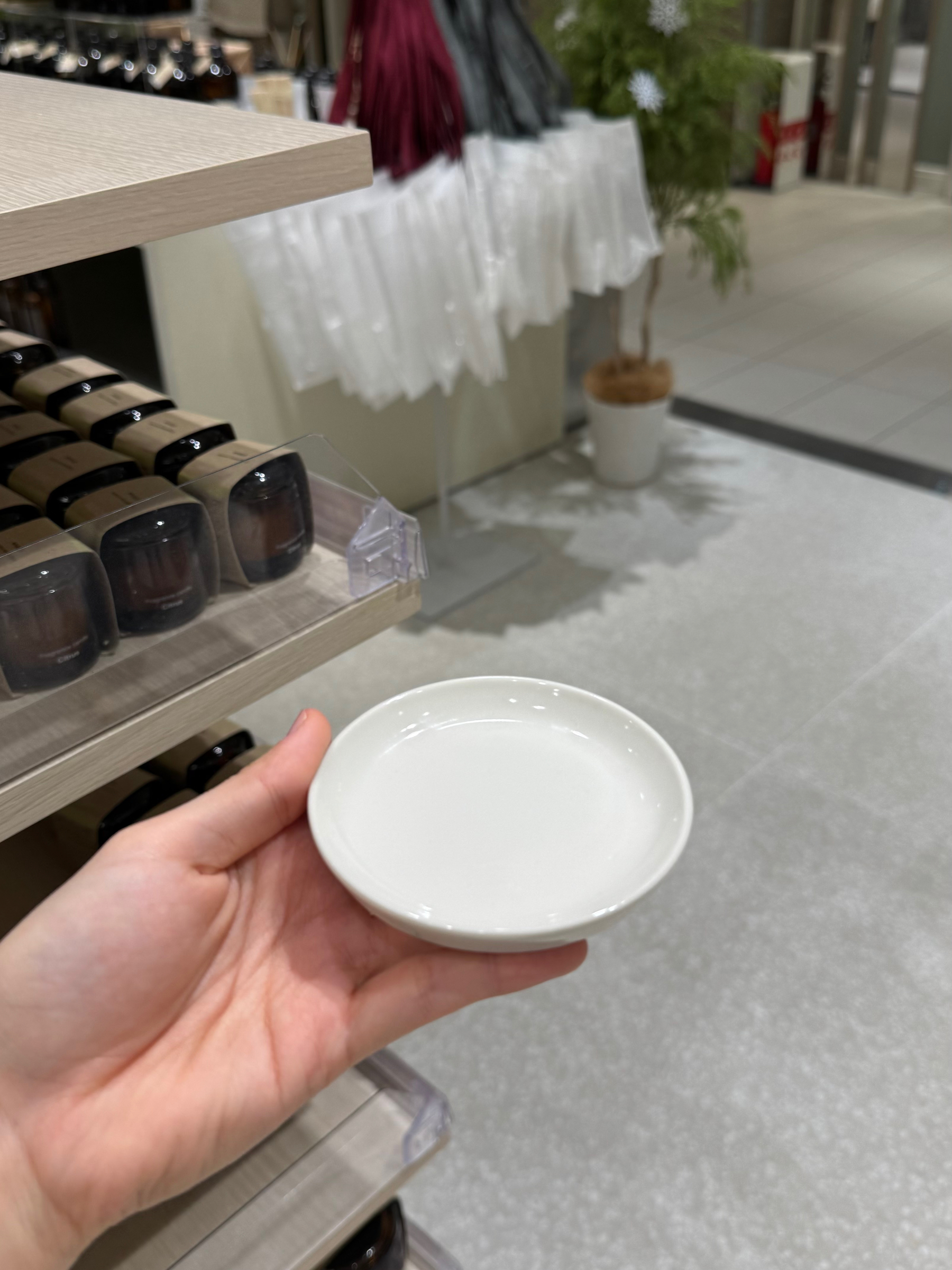 image_A3EC55D1-943B-4572-B4F2-1F21D03FB1E9_1766059482