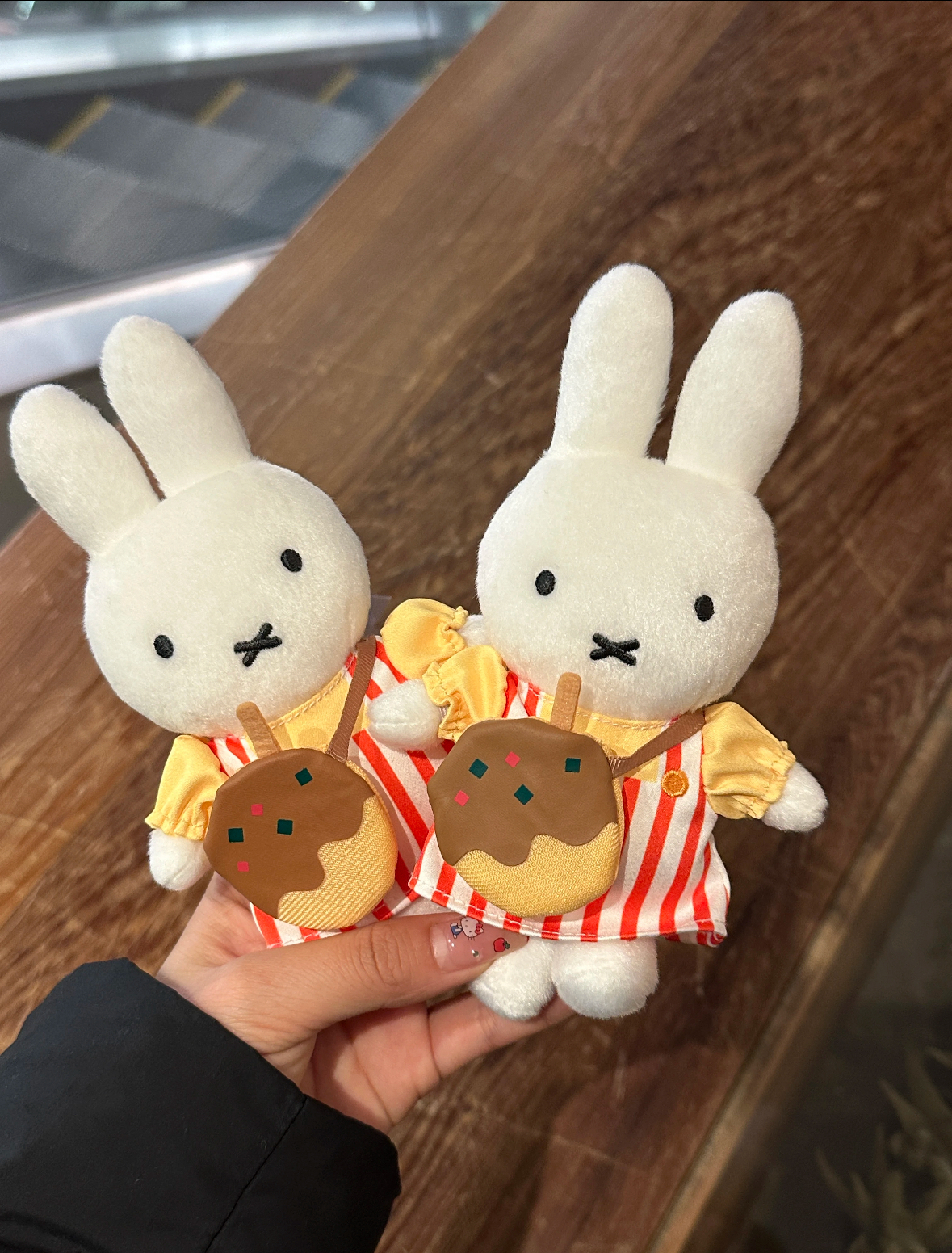 image_8D6622B8-D224-40EB-A9E9-F7C76B7E0261_1766383902