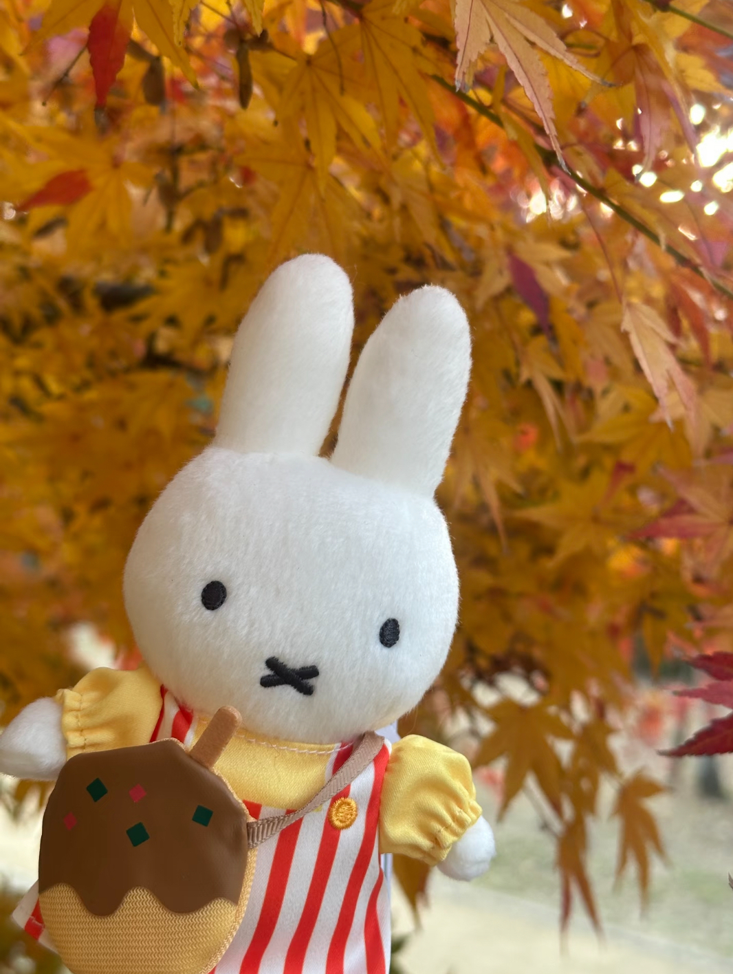 image_1DE524B4-E147-4B14-B4B5-ED8607841523_1766383902