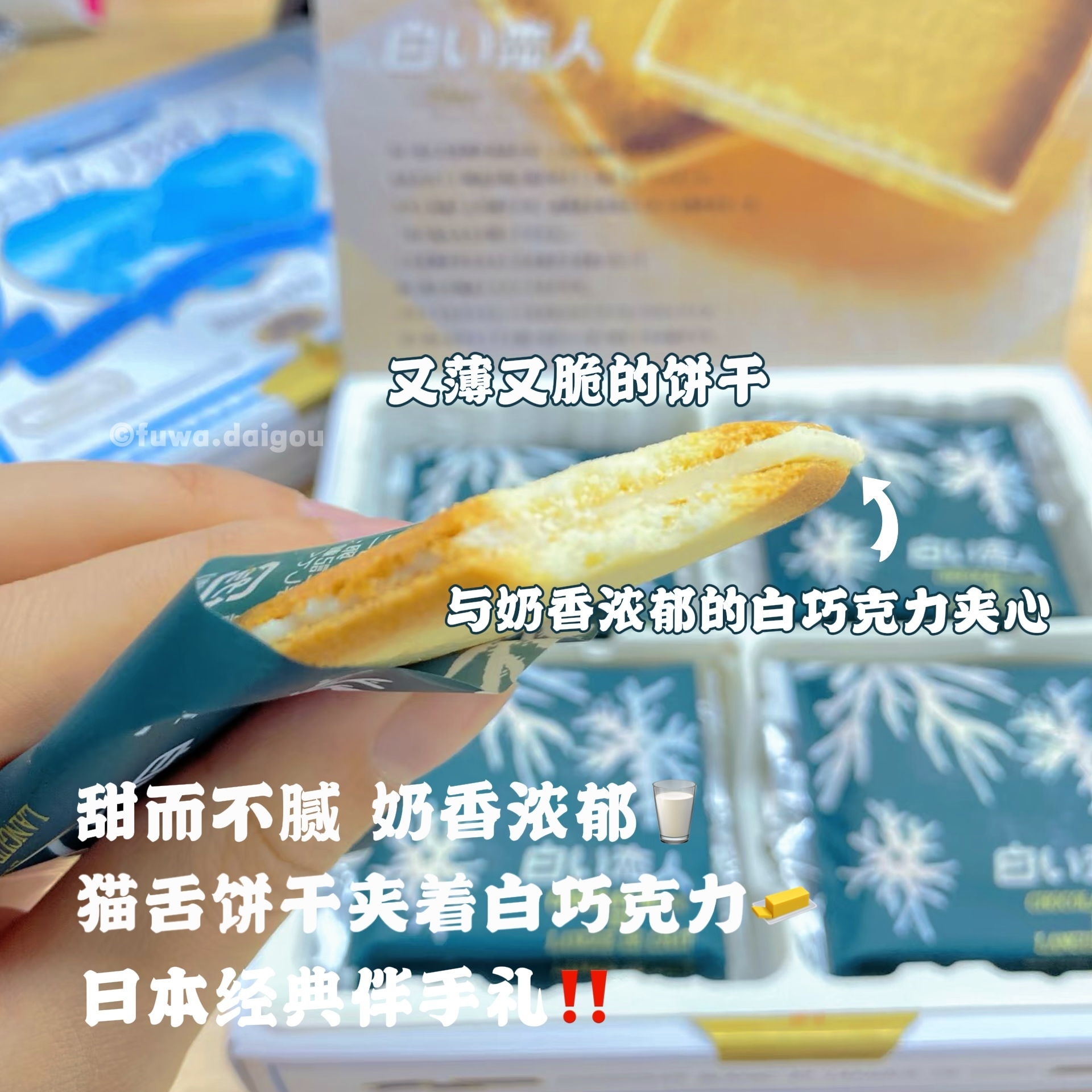 IMG_2634-1730645722229