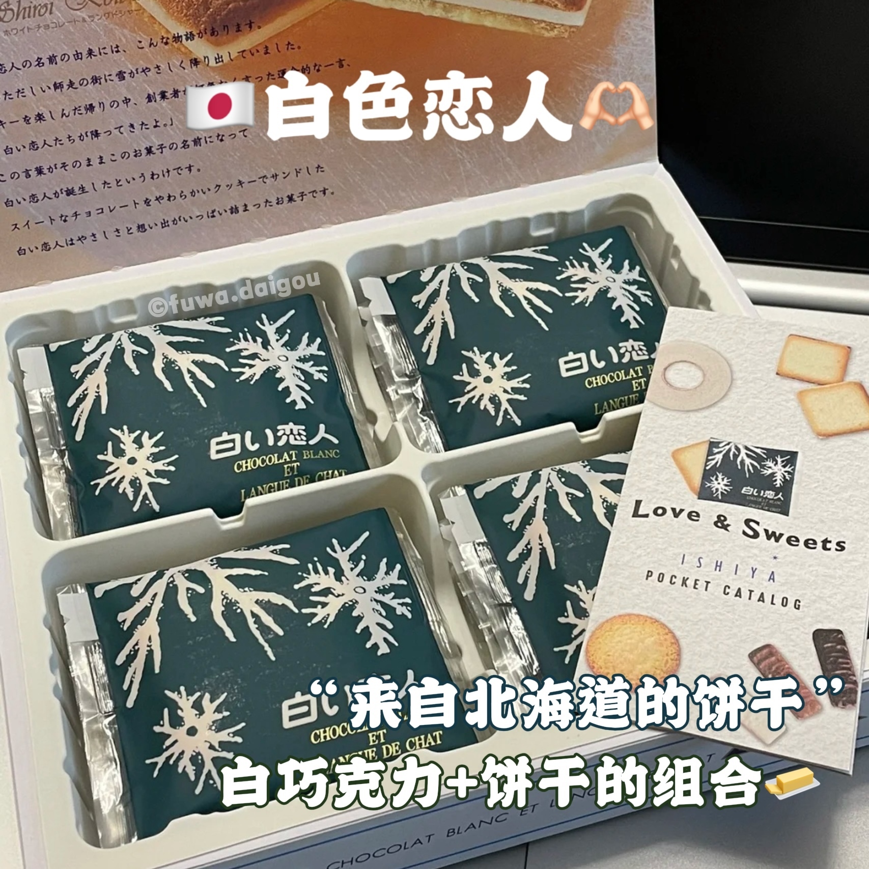 IMG_2633-1730645722225