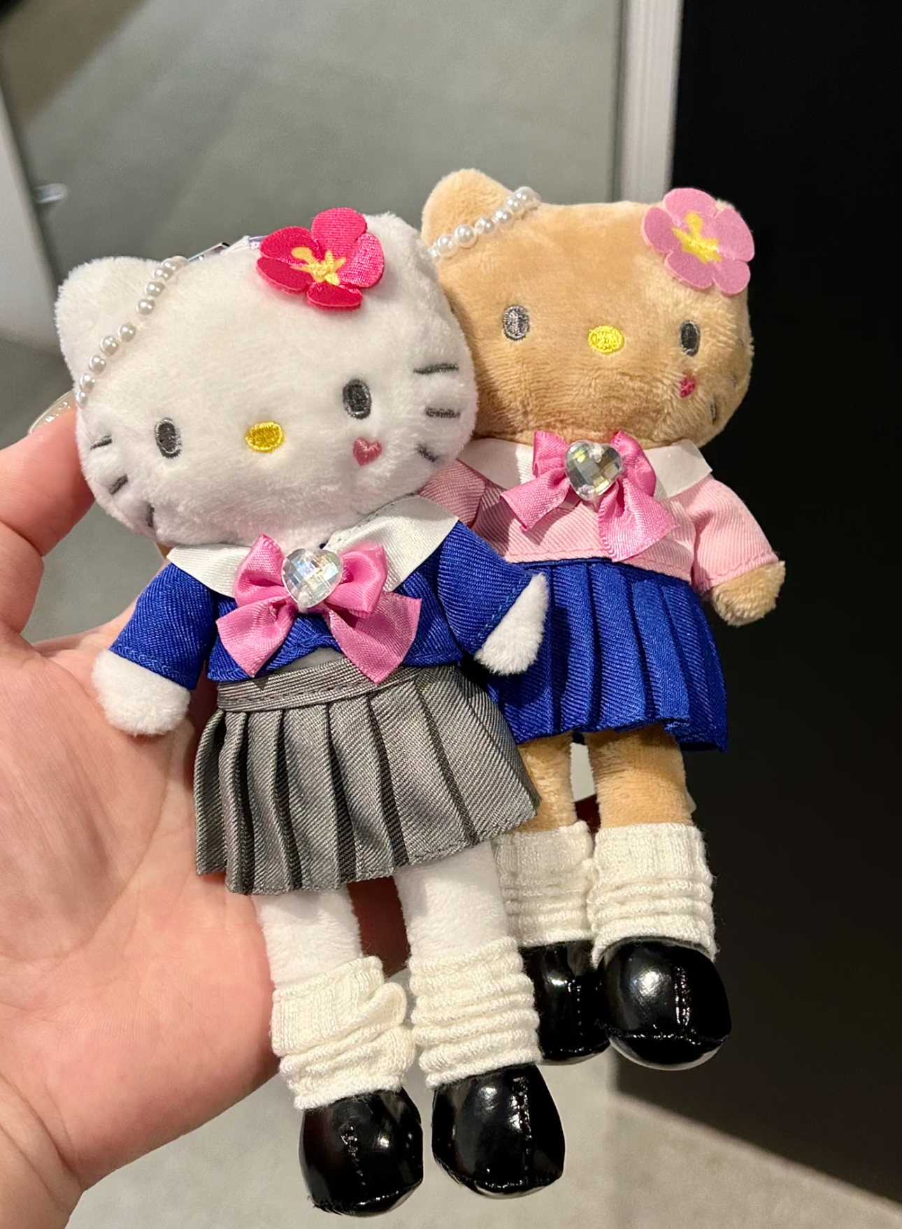 image_942319AB-E778-4EC6-AA0D-2EA3534C0E7A_1762421427