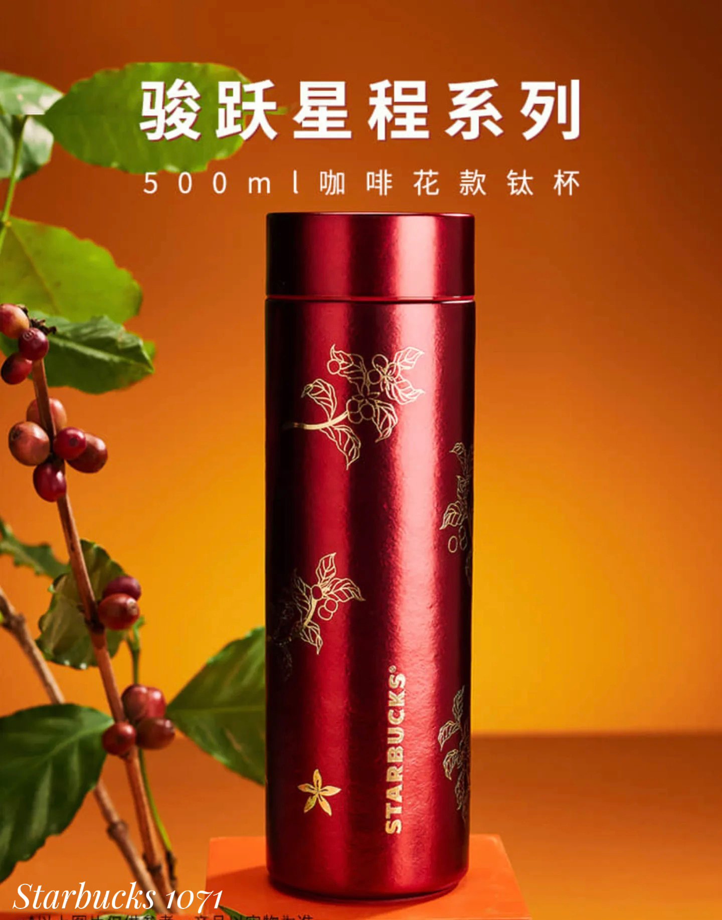 image_CE514FEF-41AD-4BFC-952C-7D67AE69E3B2_1768055915