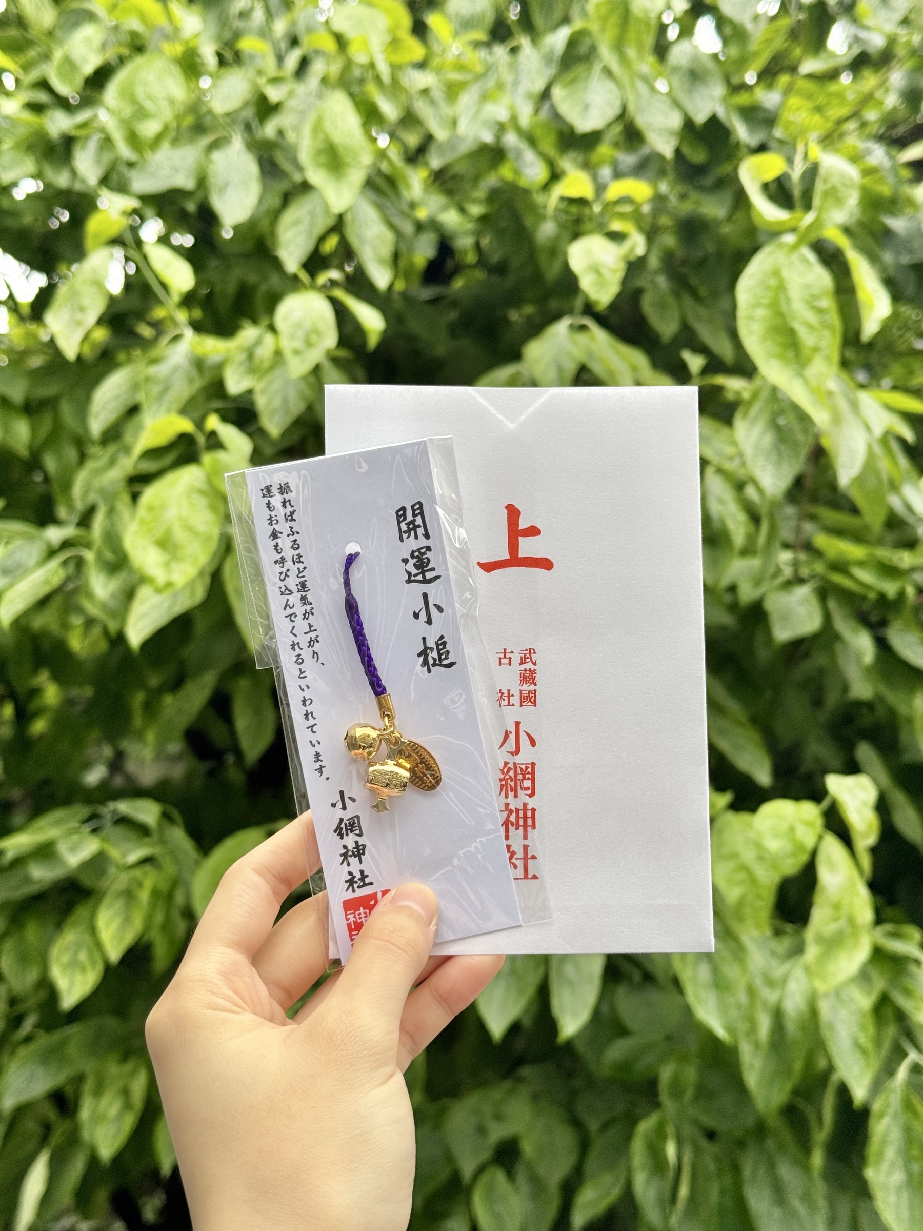 6376b129c98557c485f647c74bd55646