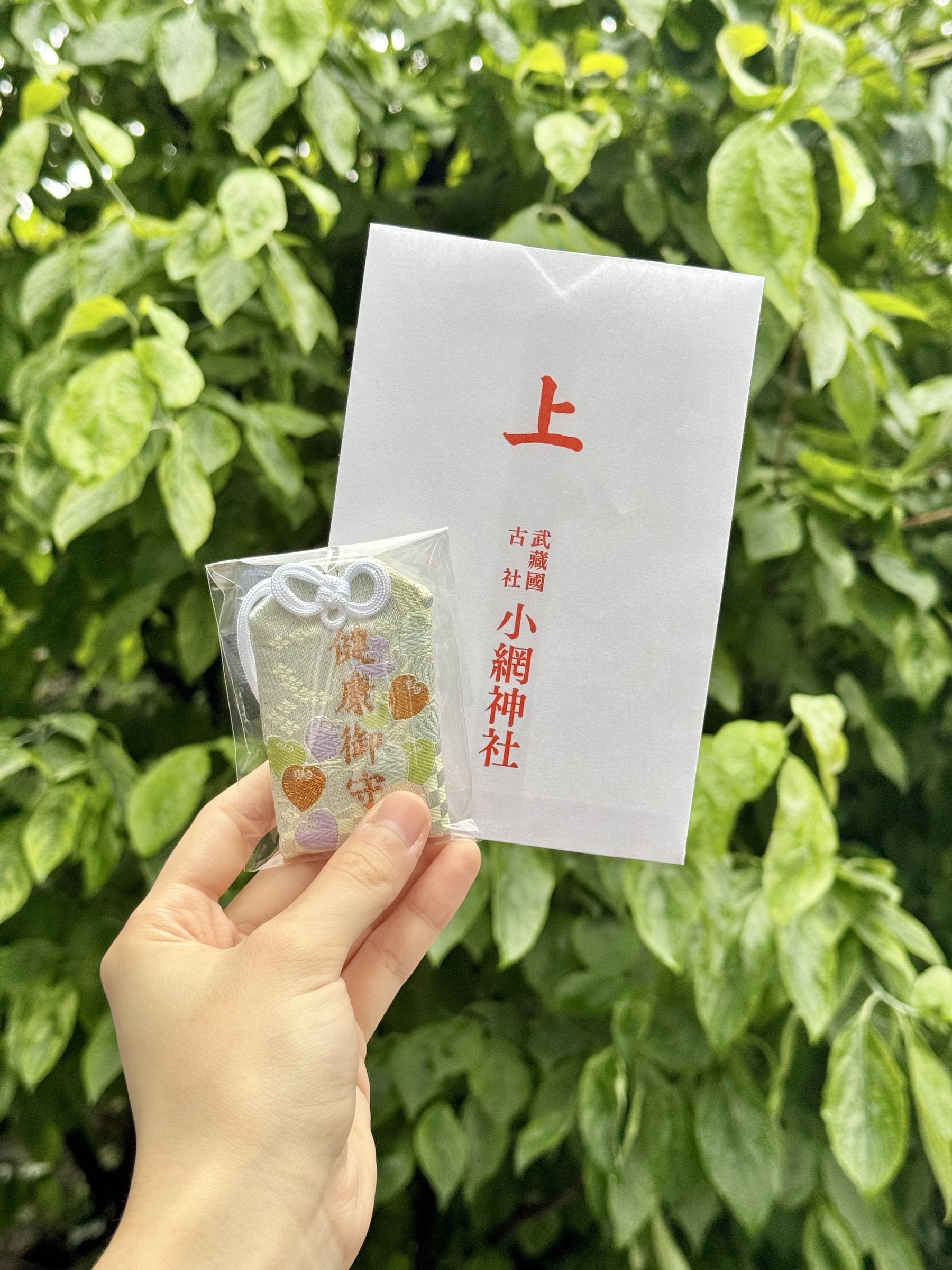 3556cd79ef44a9a5a85840a4fb360db8