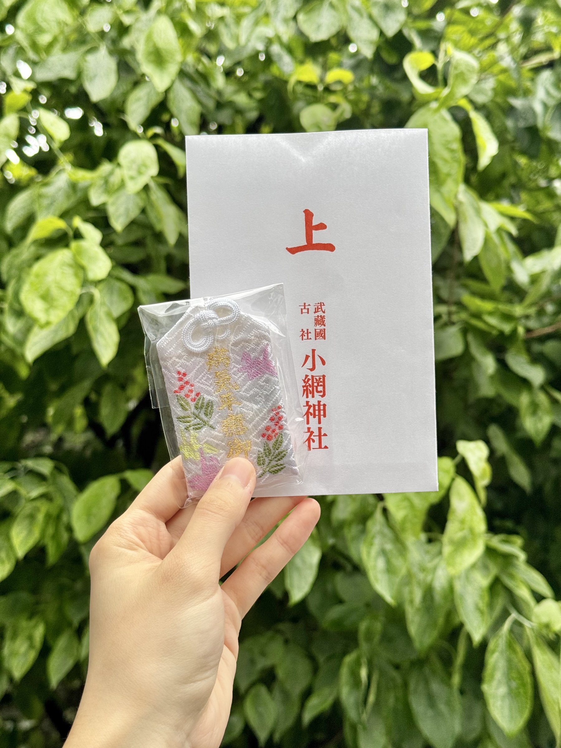 678f16f2dac9c000b501de4d16130dc6