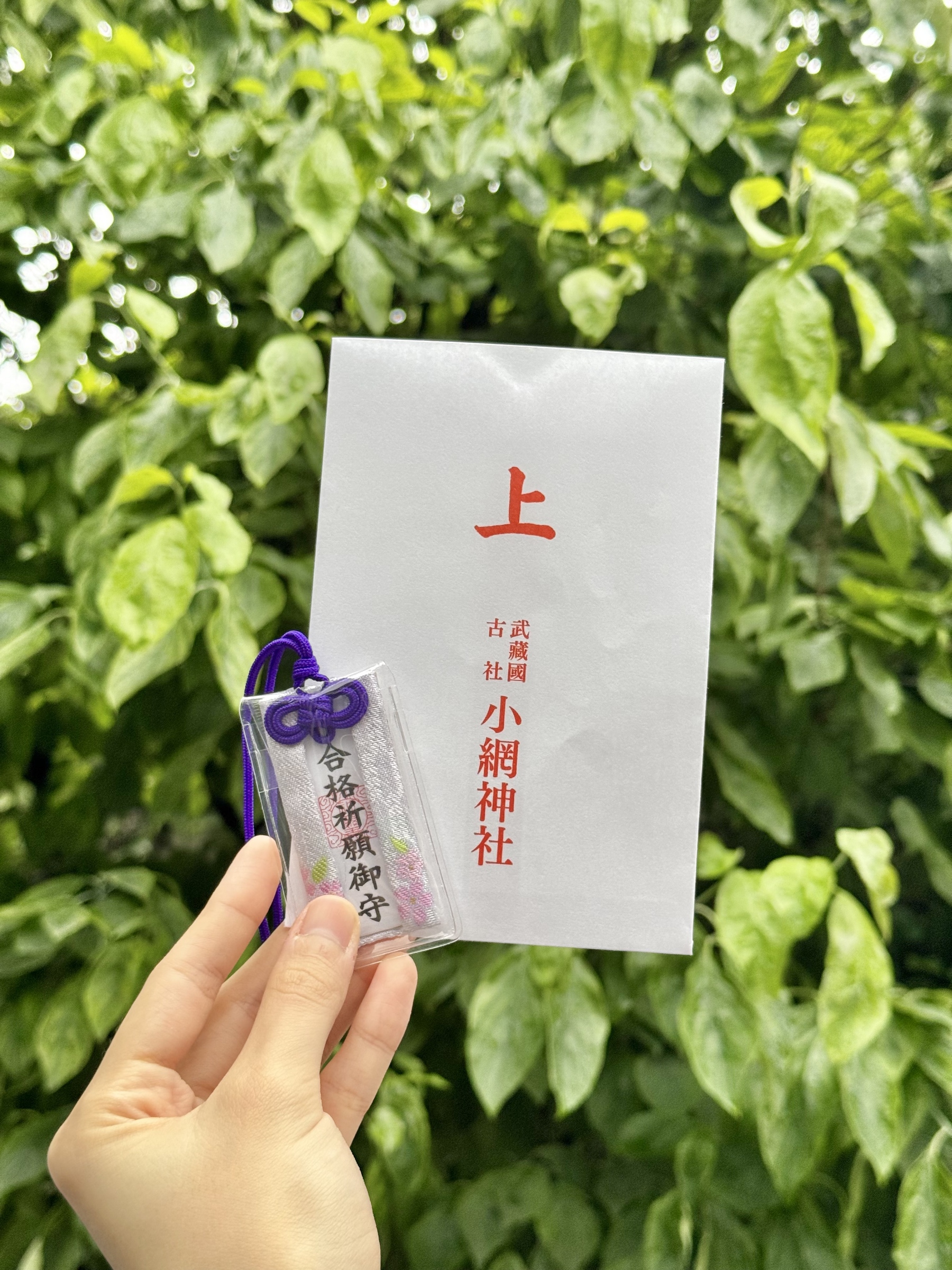 f168594aa9de9901ff72a74be1be8690